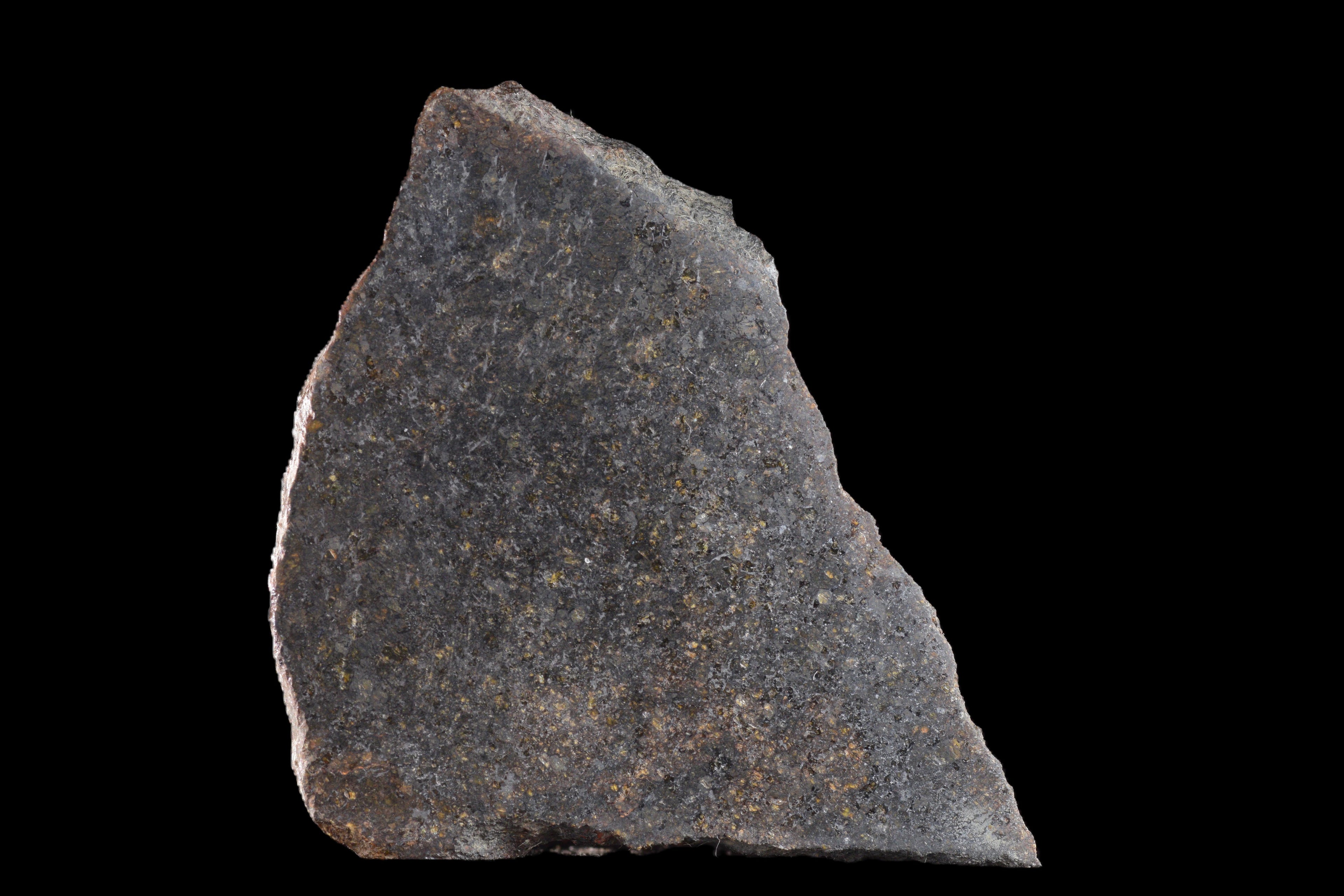 NWA 11757 Ureilite Meteorite For Sale