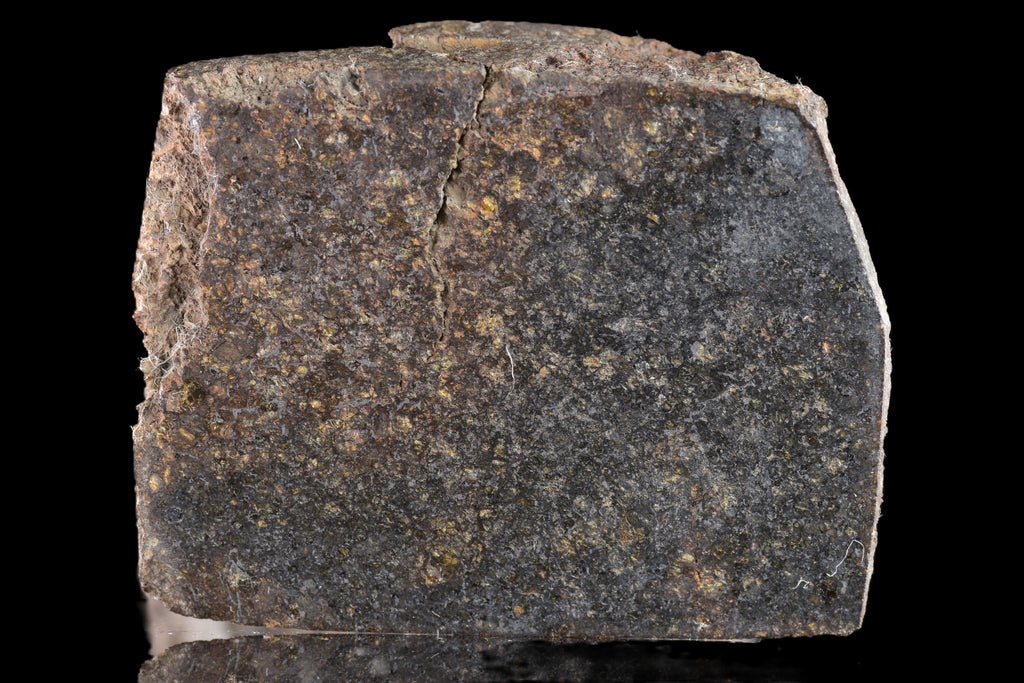 NWA 11757 Ureilite Meteorite For Sale