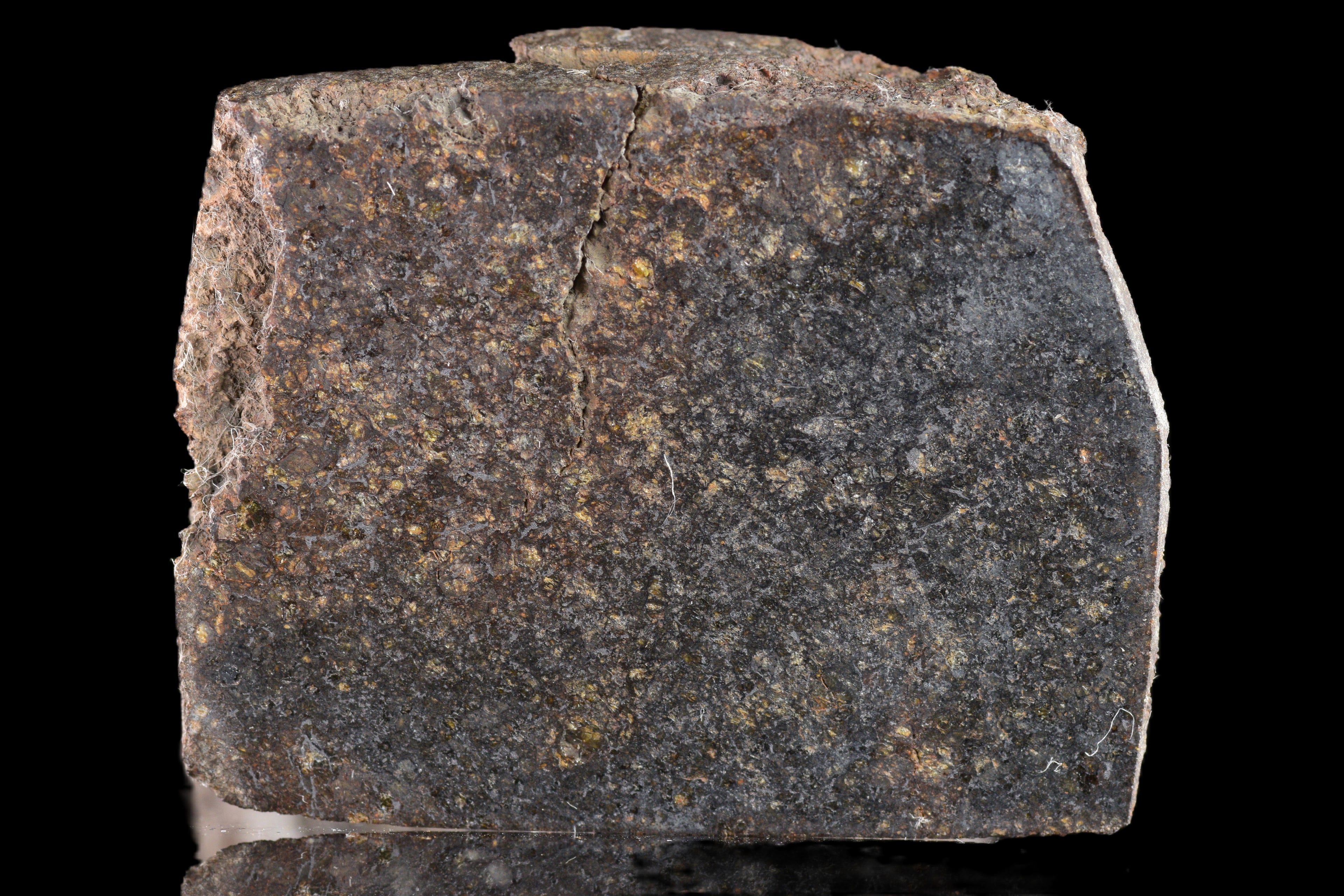 NWA 11757 Ureilite Meteorite For Sale