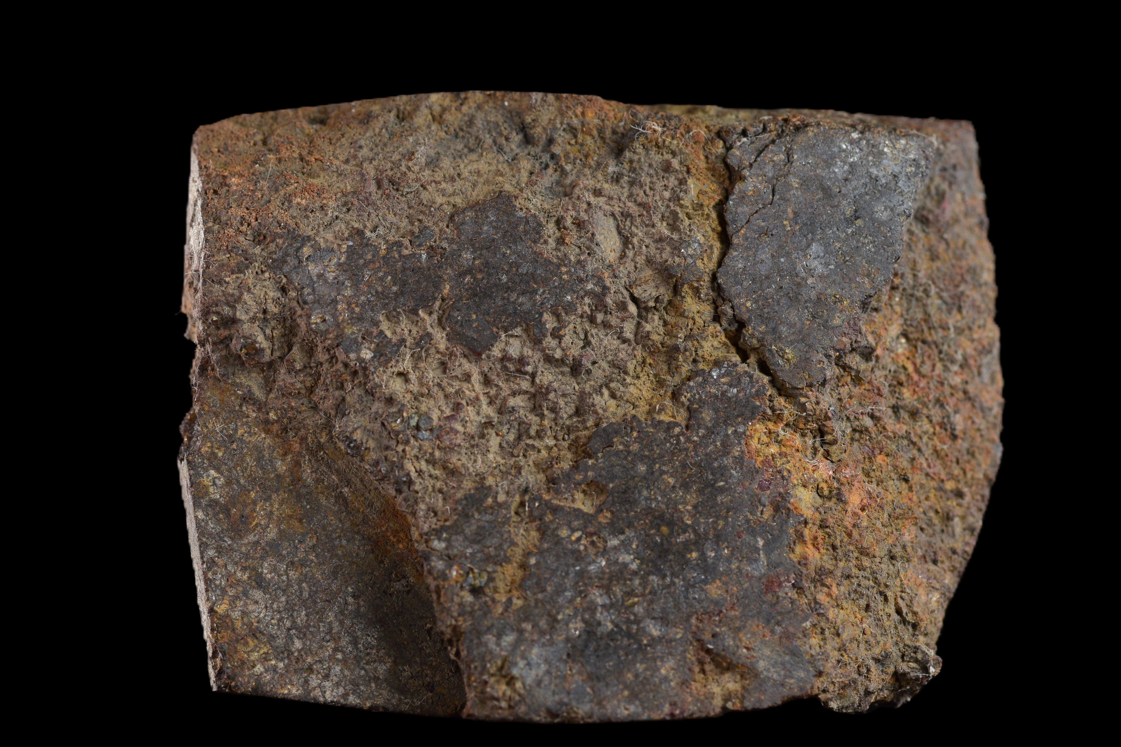 NWA 11757 Ureilite Meteorite For Sale