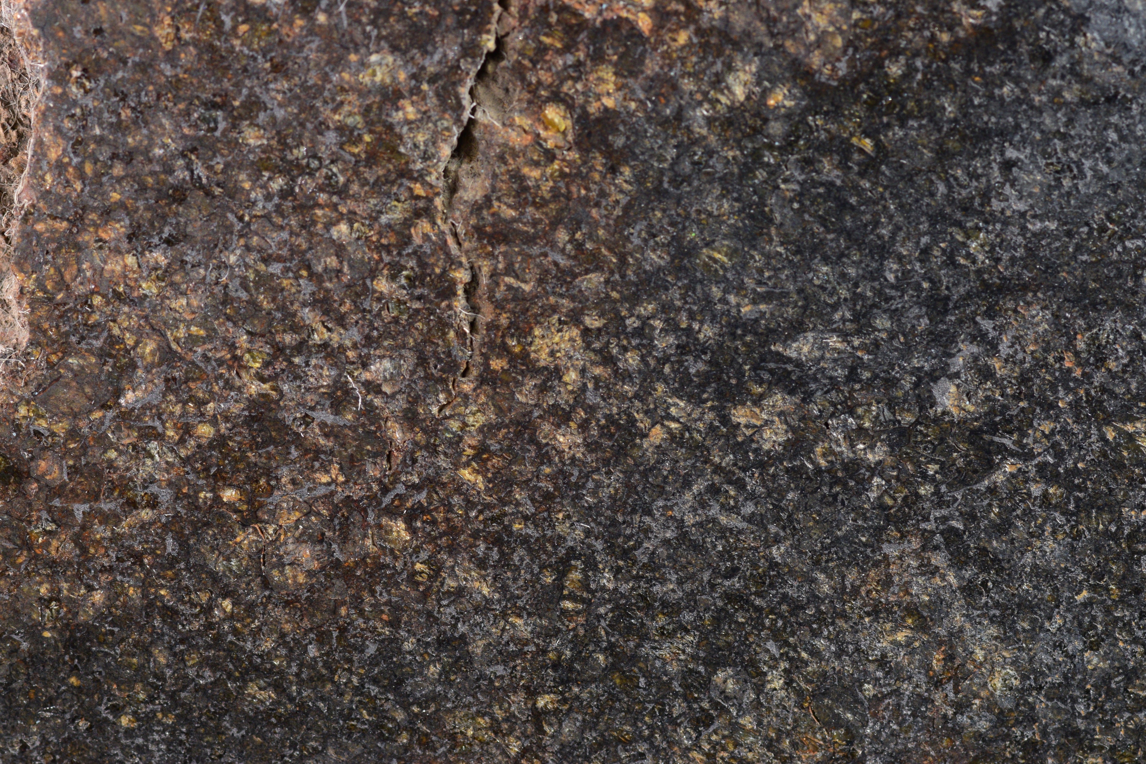 NWA 11757 Ureilite Meteorite For Sale