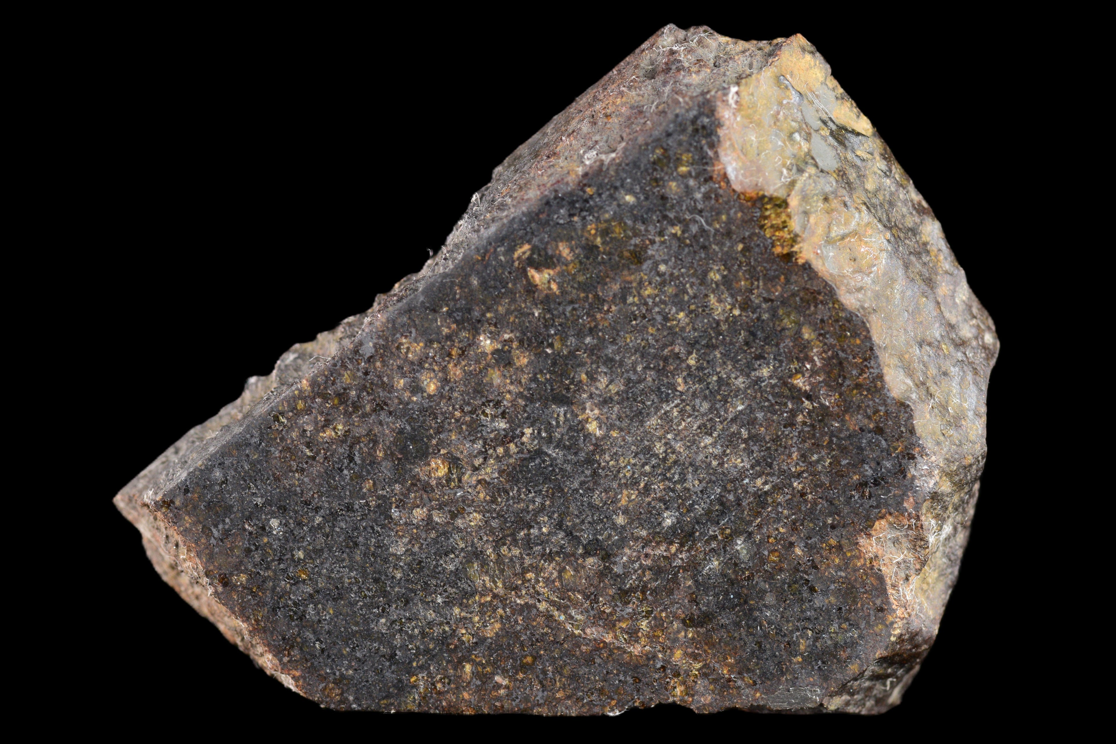 NWA 11757 Ureilite Meteorite For Sale