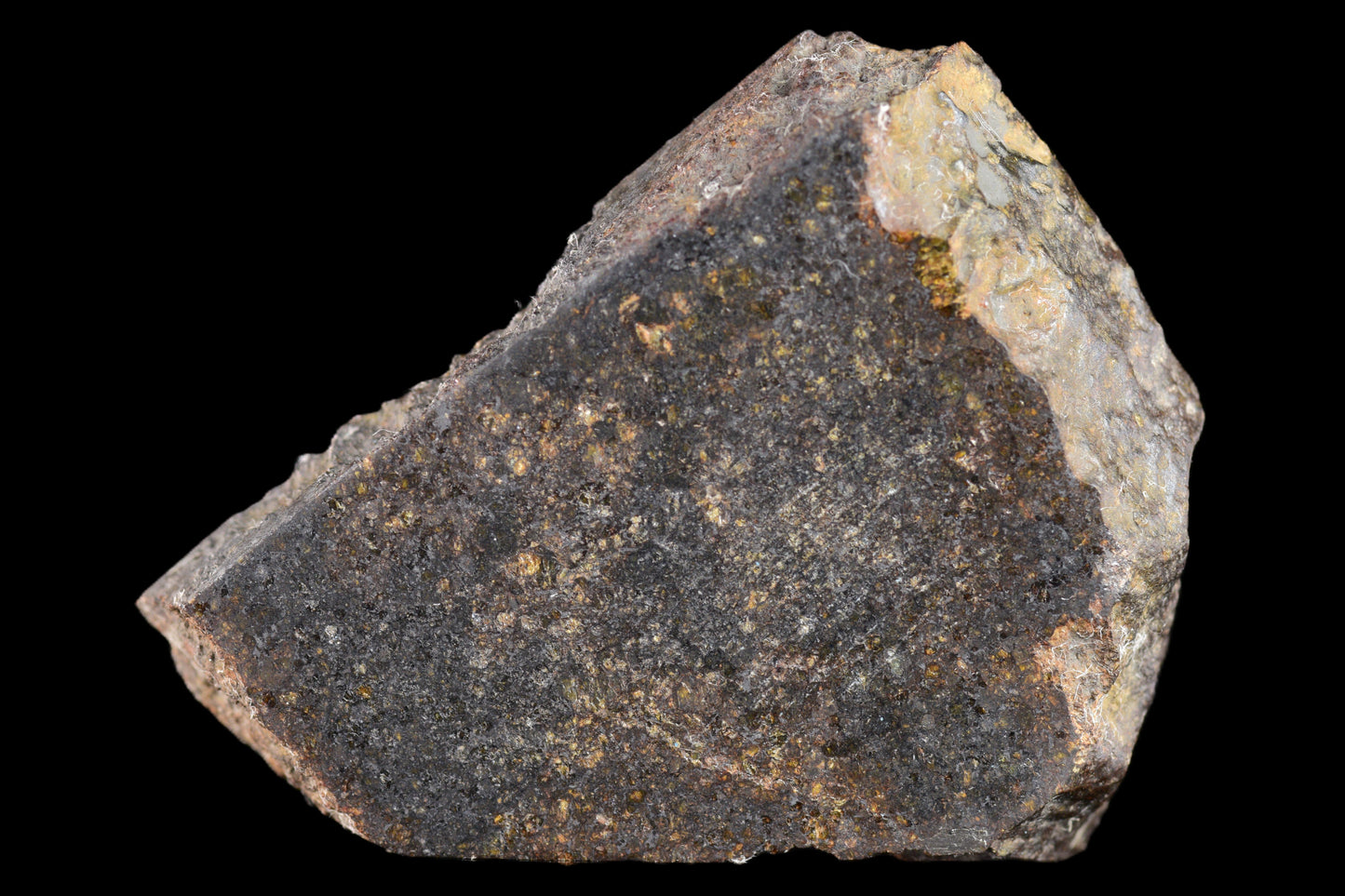NWA 11757 Ureilite Meteorite For Sale