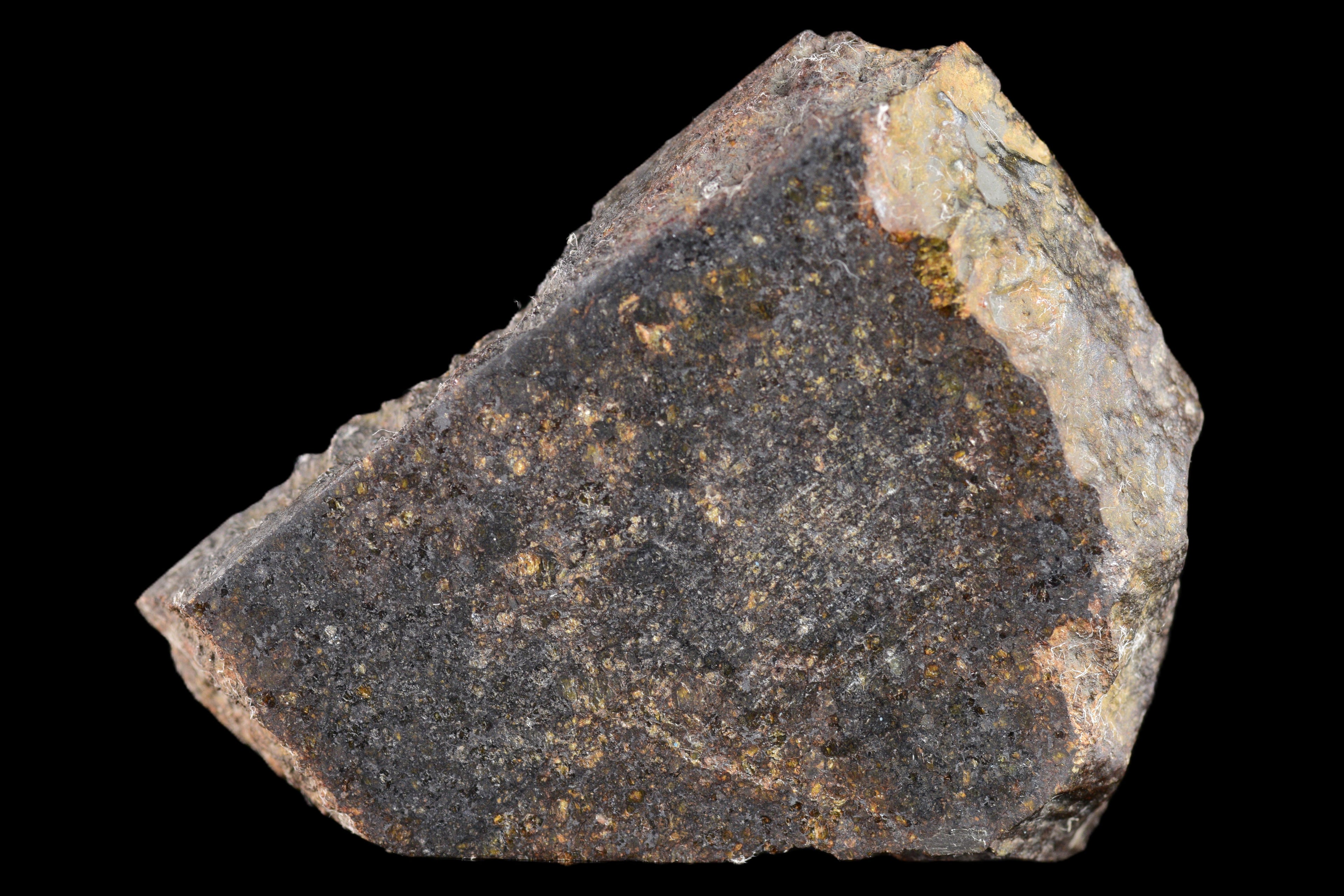 NWA 11757 Ureilite Meteorite For Sale