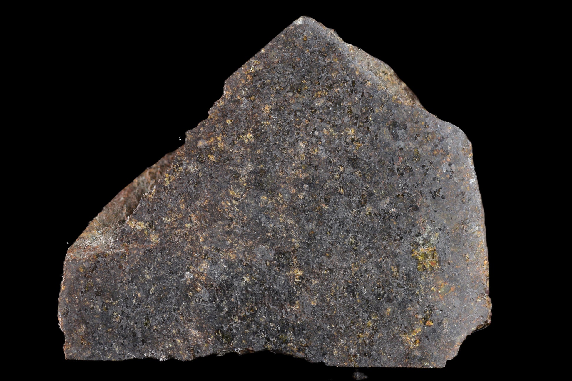 NWA 11757 Ureilite Meteorite For Sale