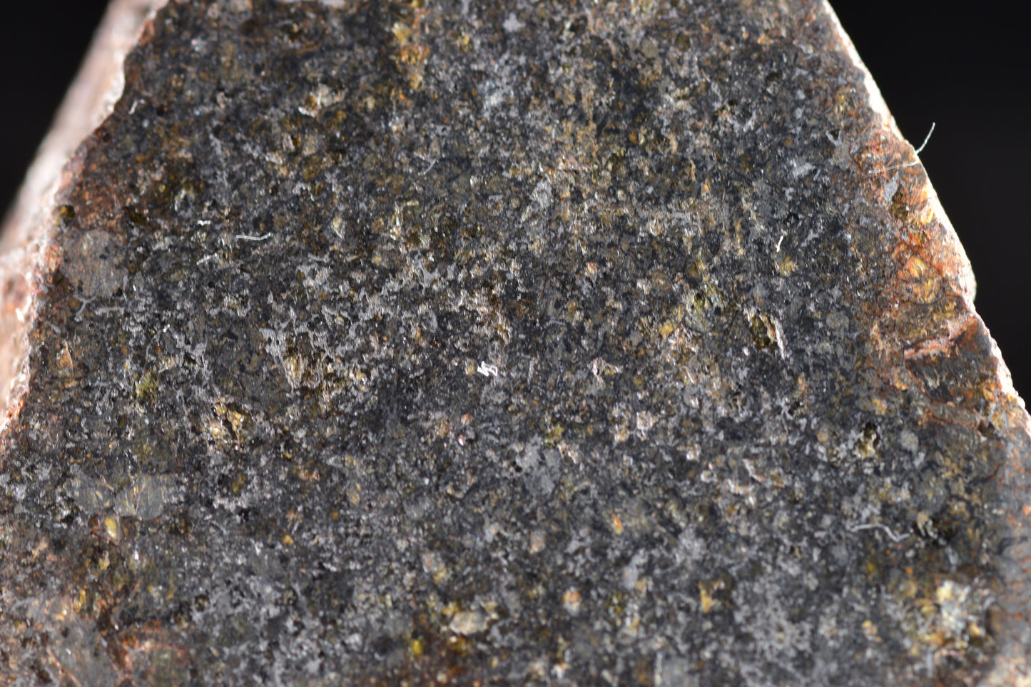 NWA 11757 Ureilite Meteorite For Sale