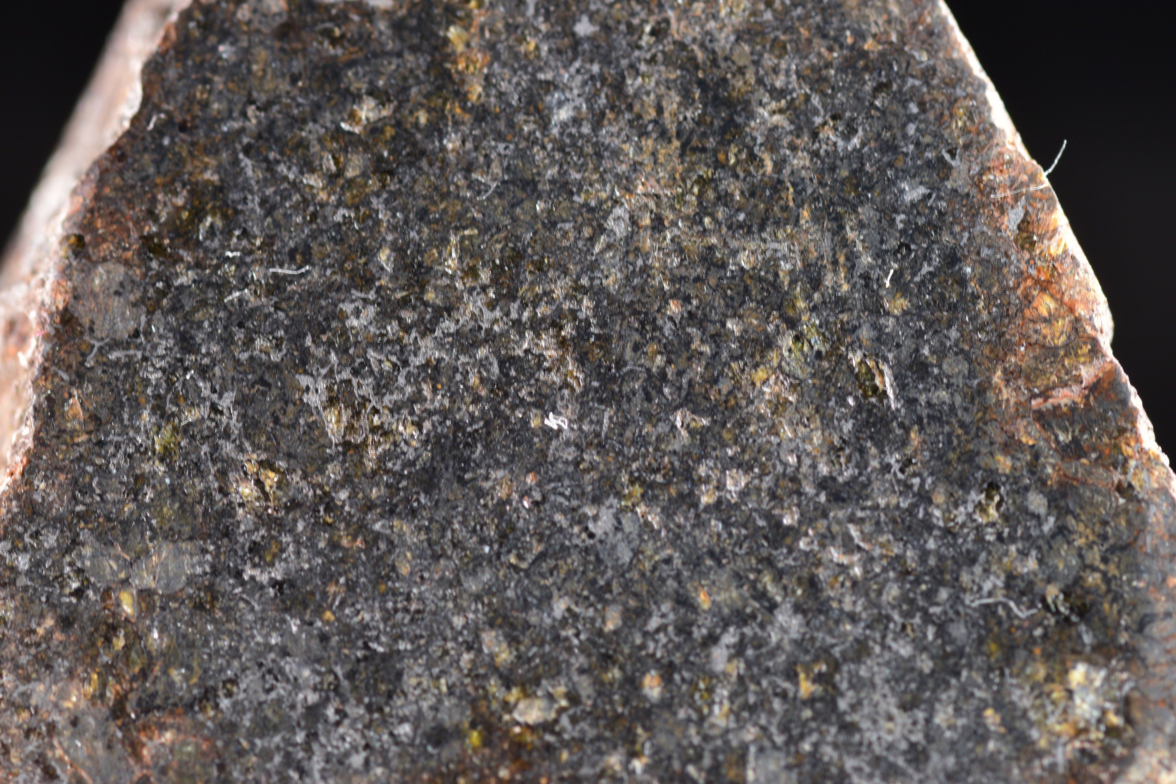 NWA 11757 Ureilite Meteorite For Sale