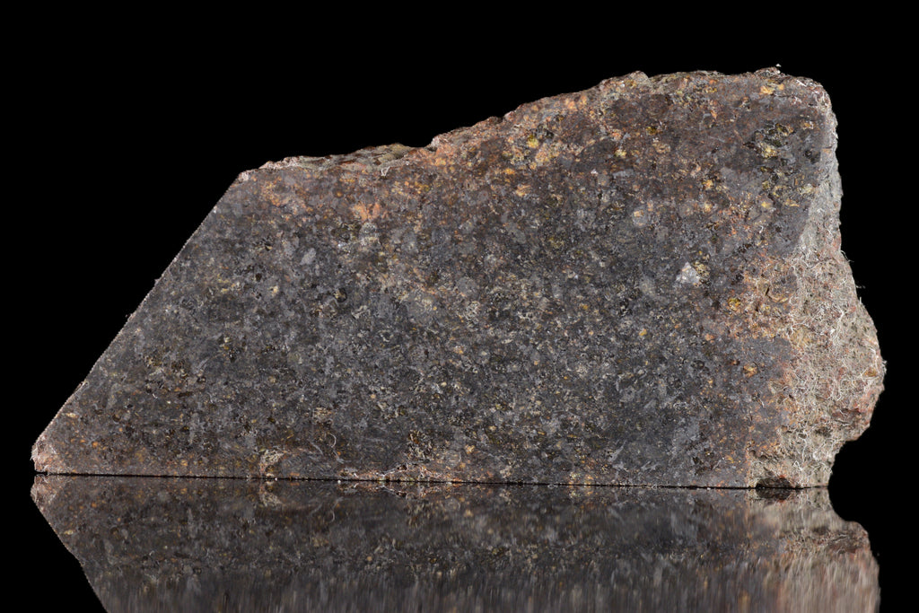 NWA 11757 Ureilite Meteorite For Sale