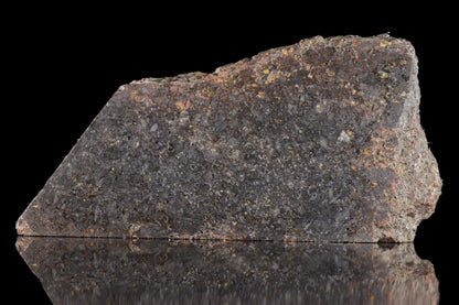 NWA 11757 Ureilite Meteorite For Sale