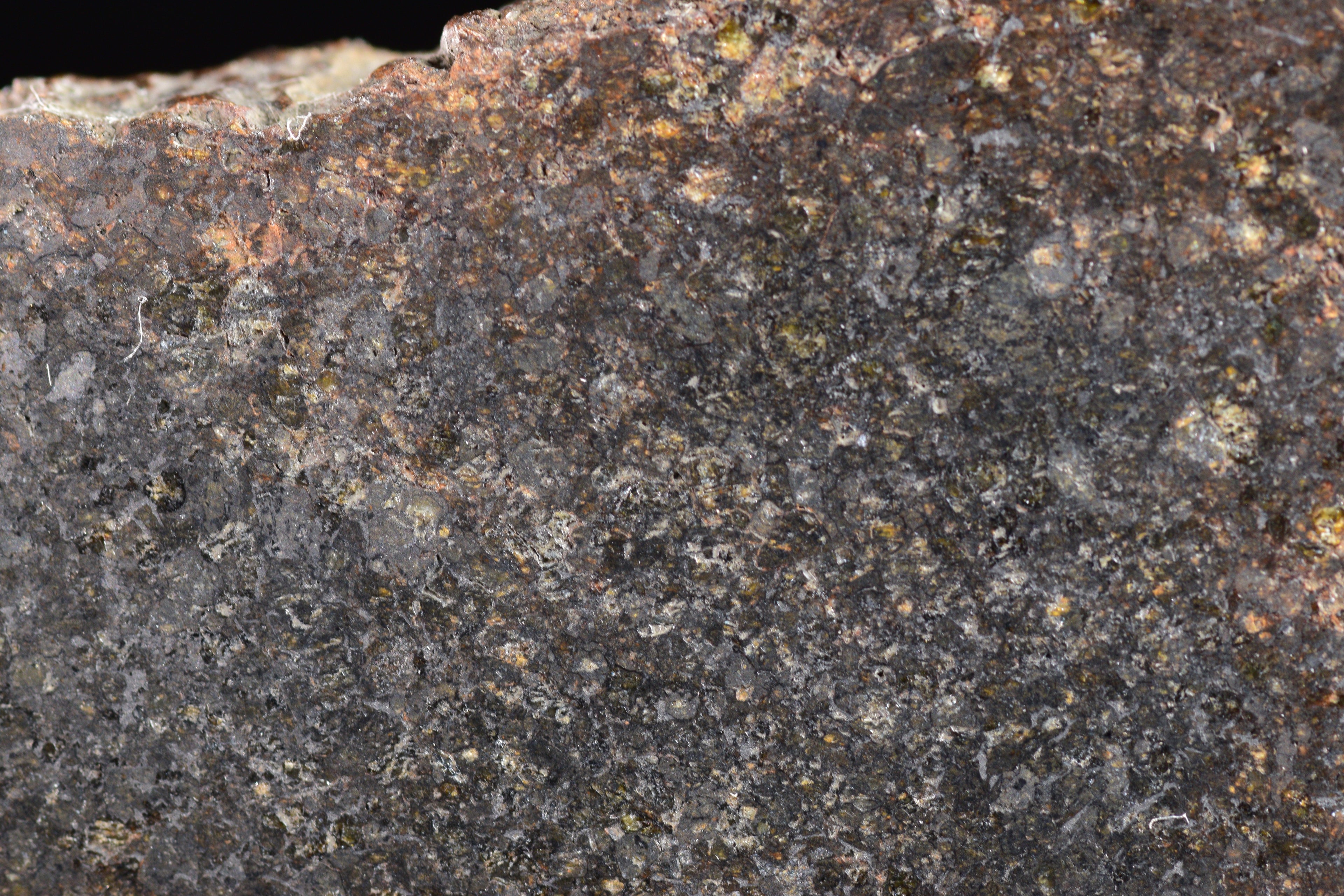 NWA 11757 Ureilite Meteorite For Sale