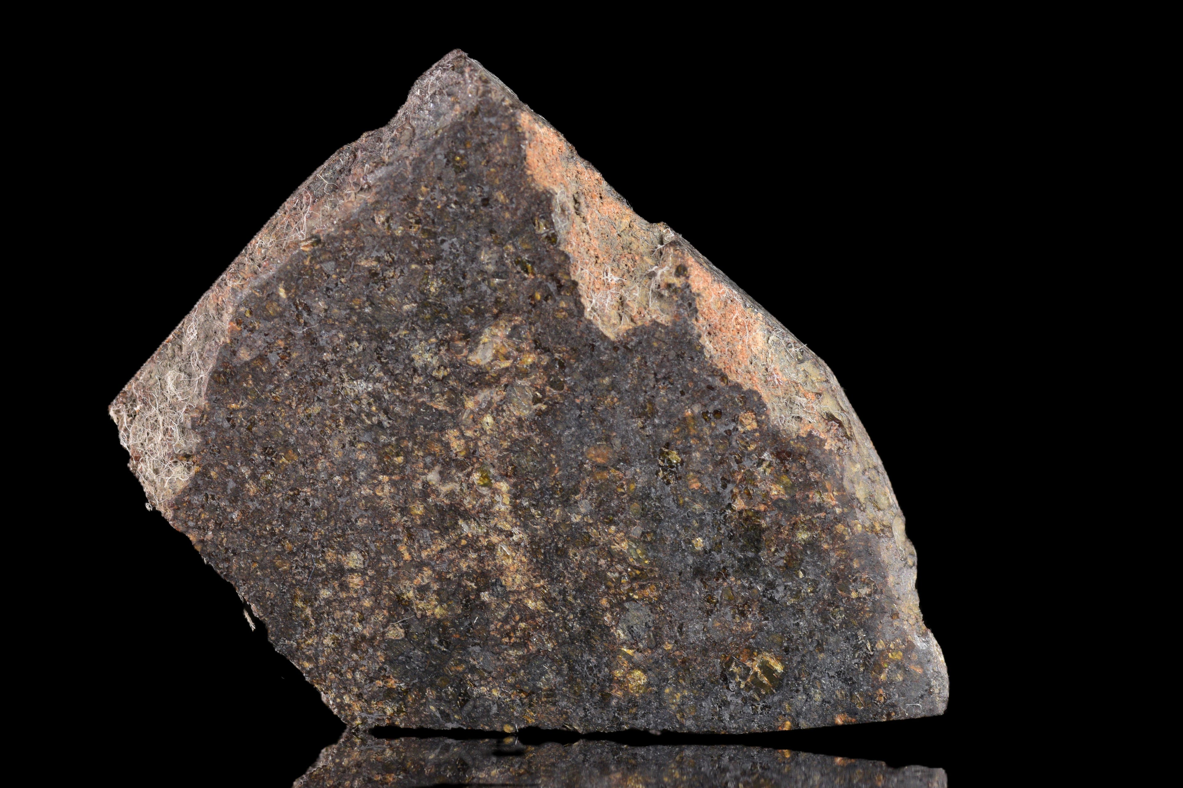 NWA 11757 Ureilite Meteorite For Sale
