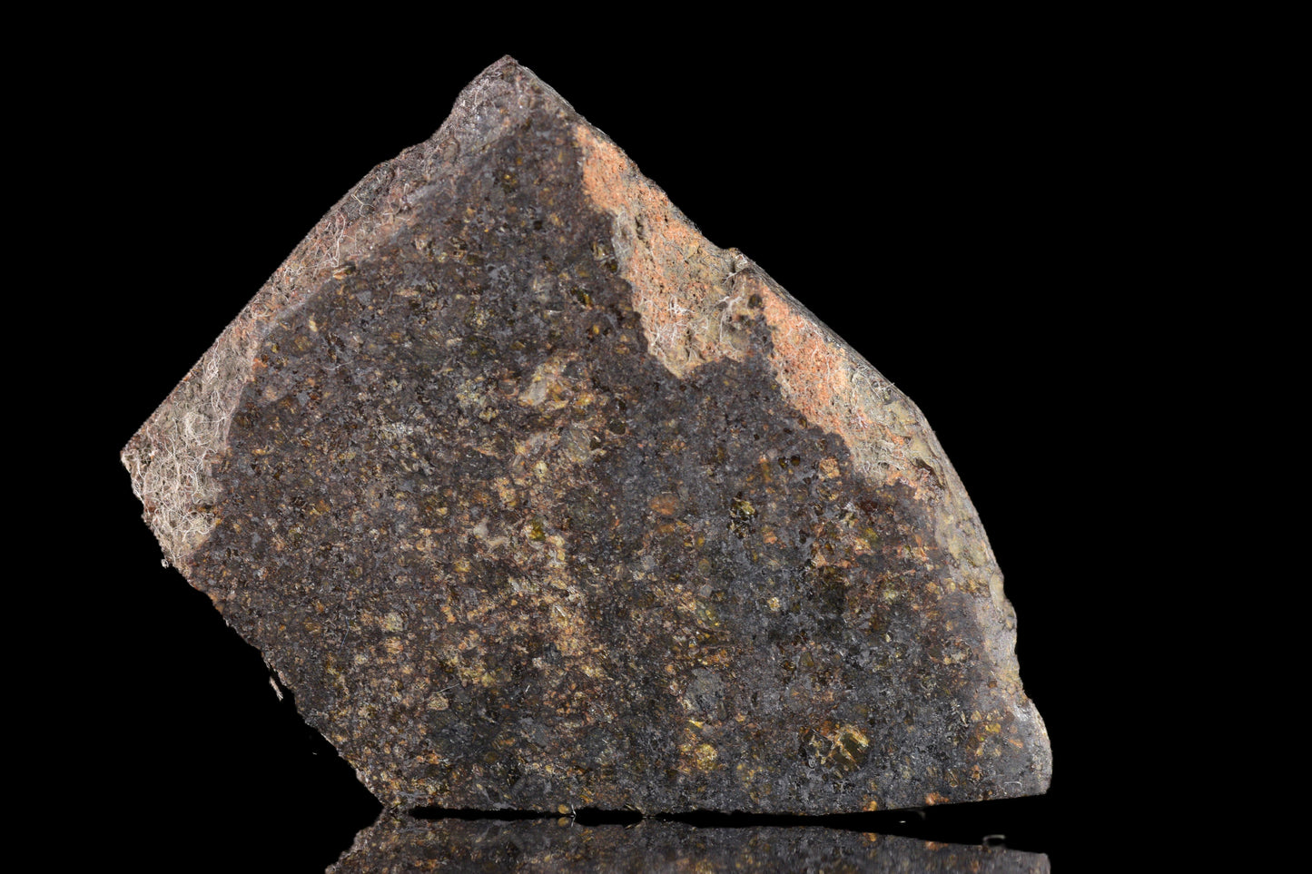 NWA 11757 Ureilite Meteorite For Sale