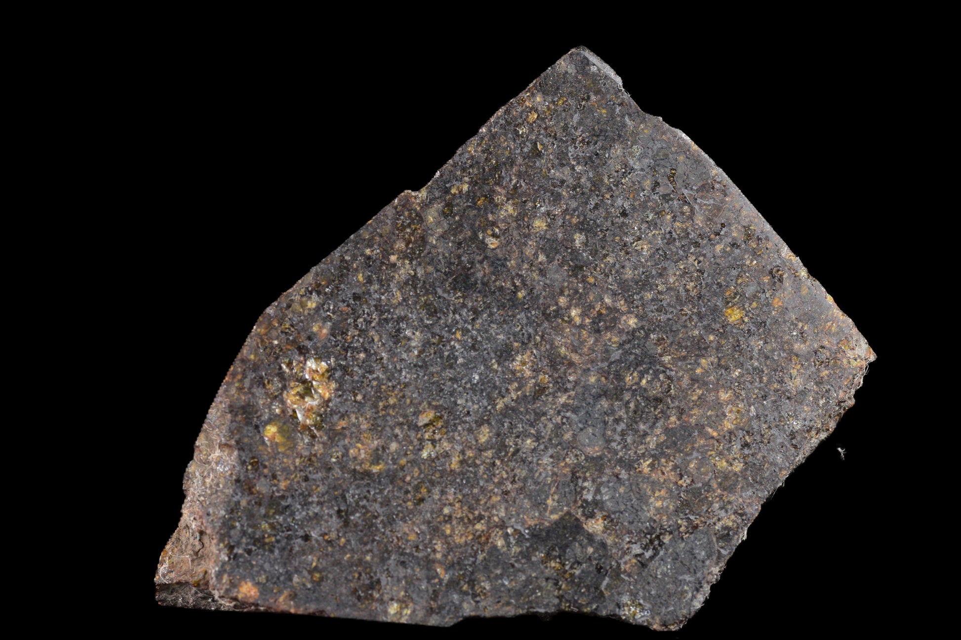 NWA 11757 Ureilite Meteorite For Sale