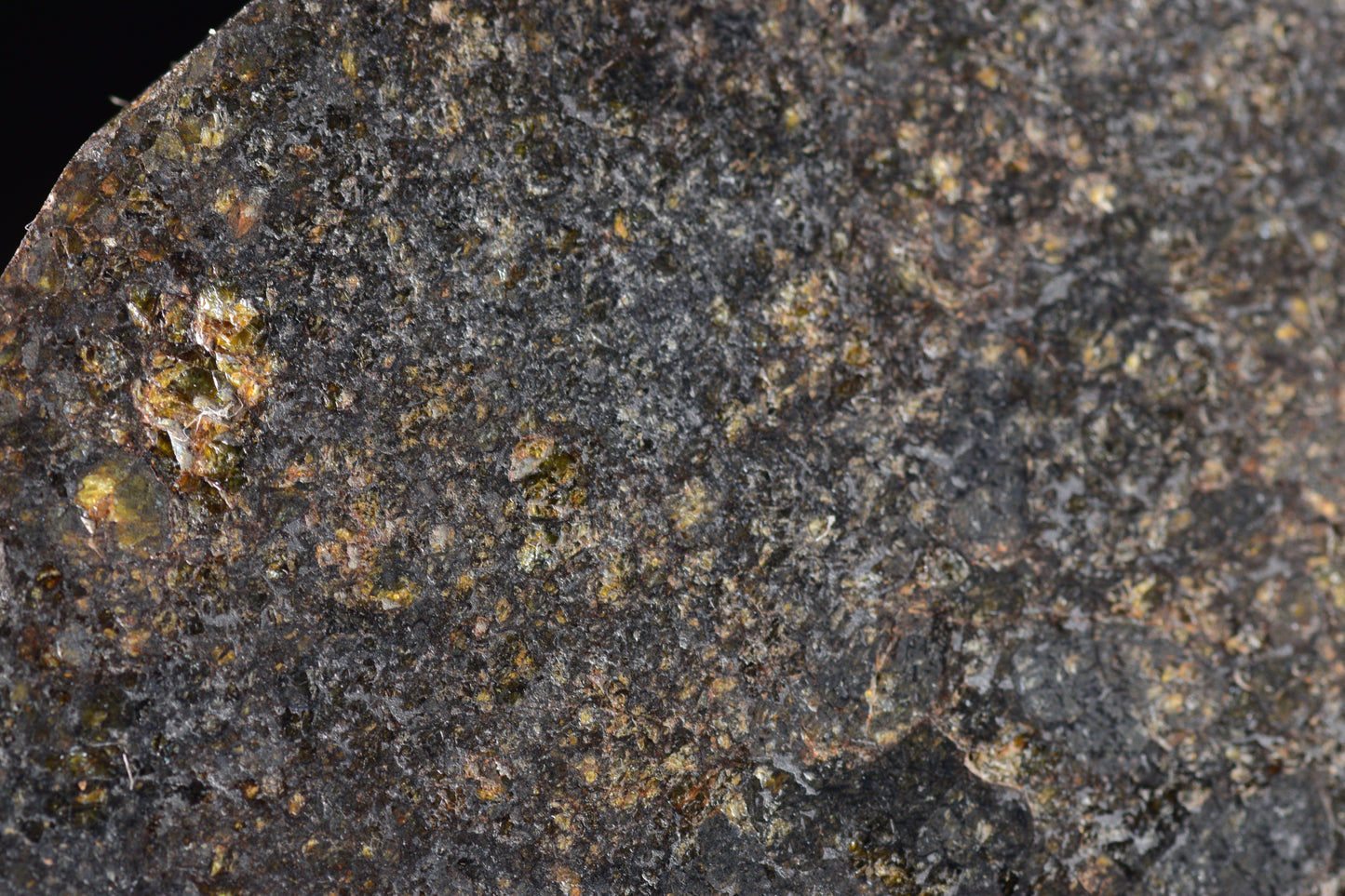 NWA 11757 Ureilite Meteorite For Sale