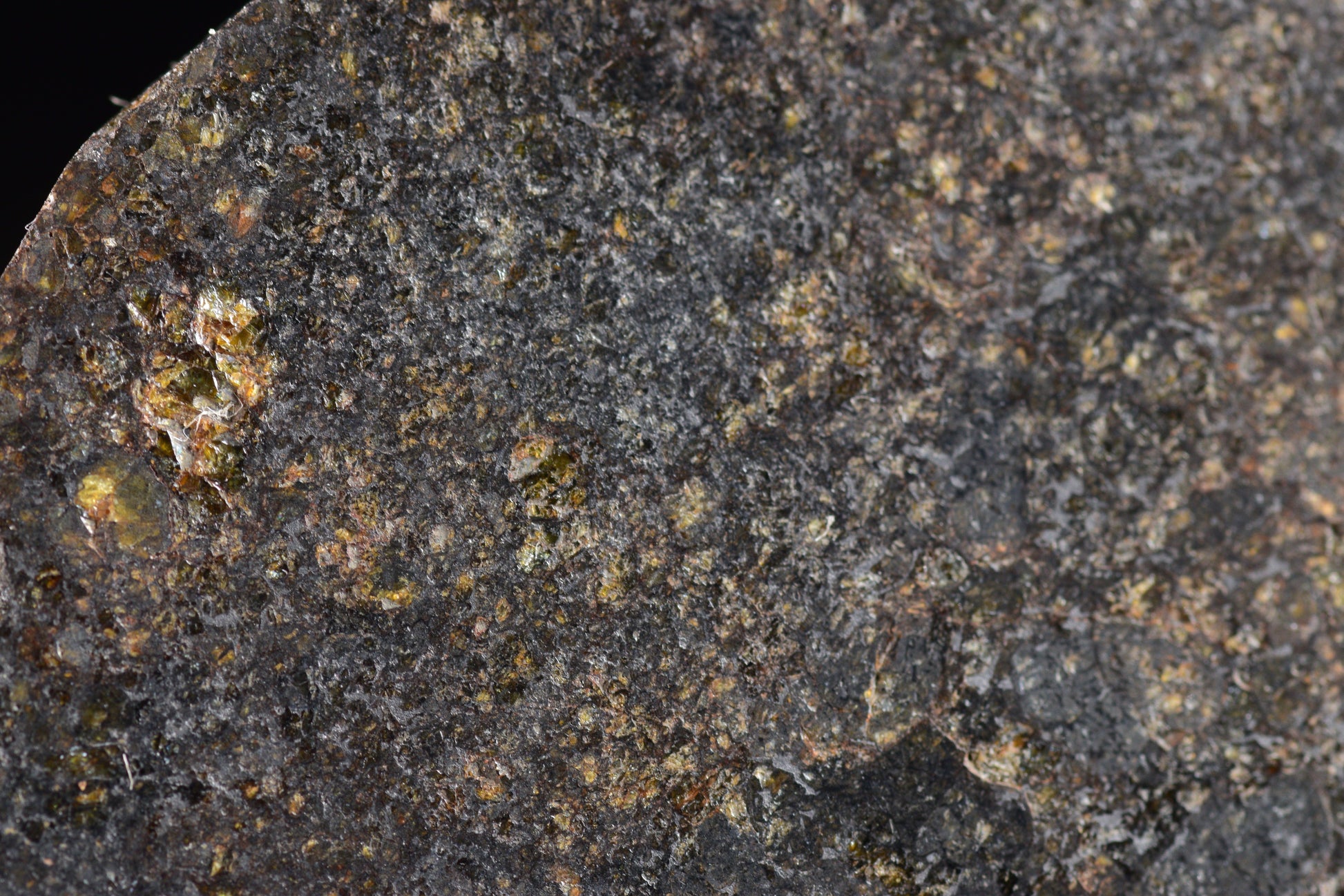 NWA 11757 Ureilite Meteorite For Sale