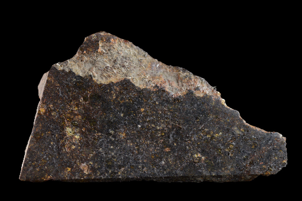 NWA 11757 Ureilite Meteorite For Sale