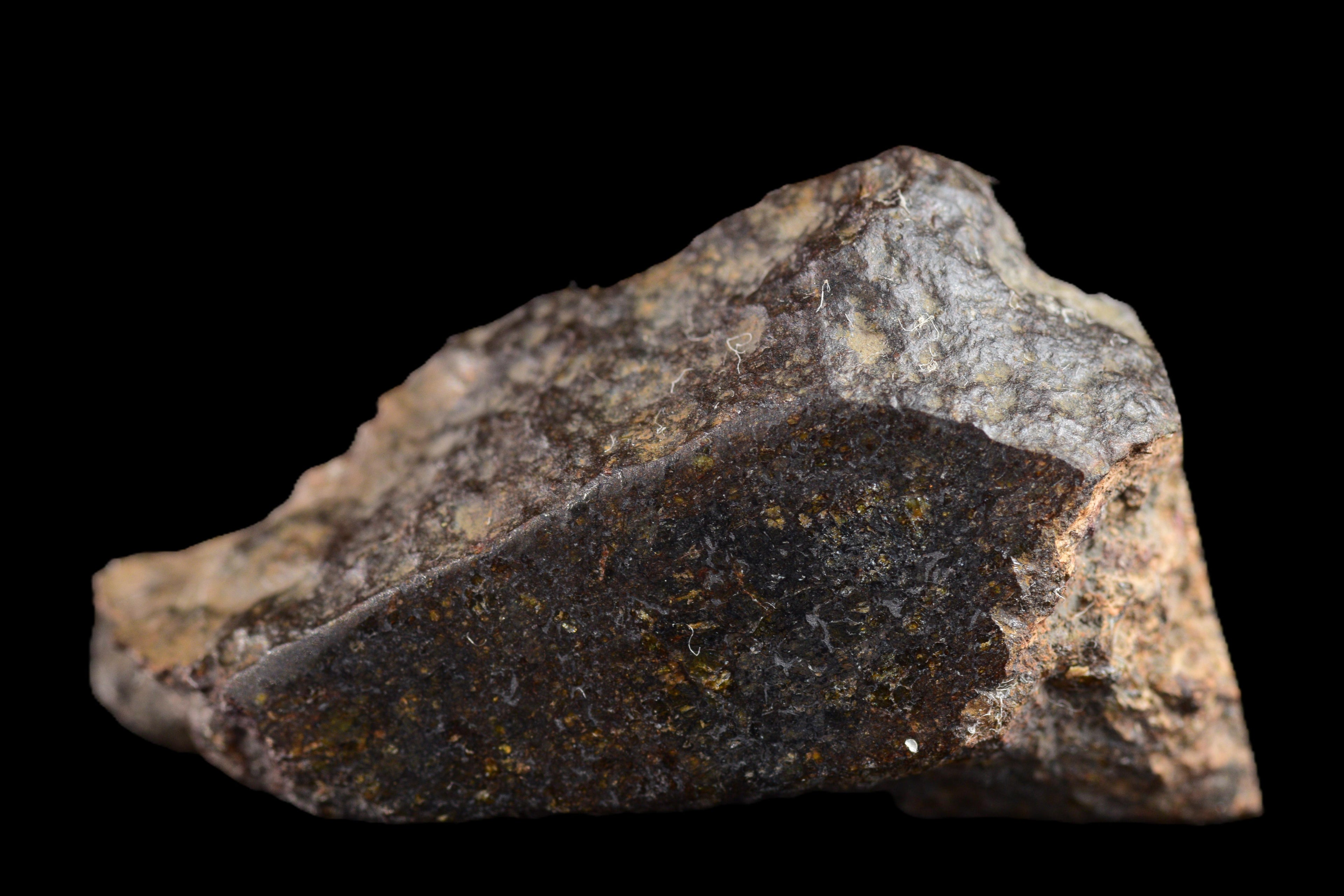 NWA 11757 Ureilite Meteorite For Sale