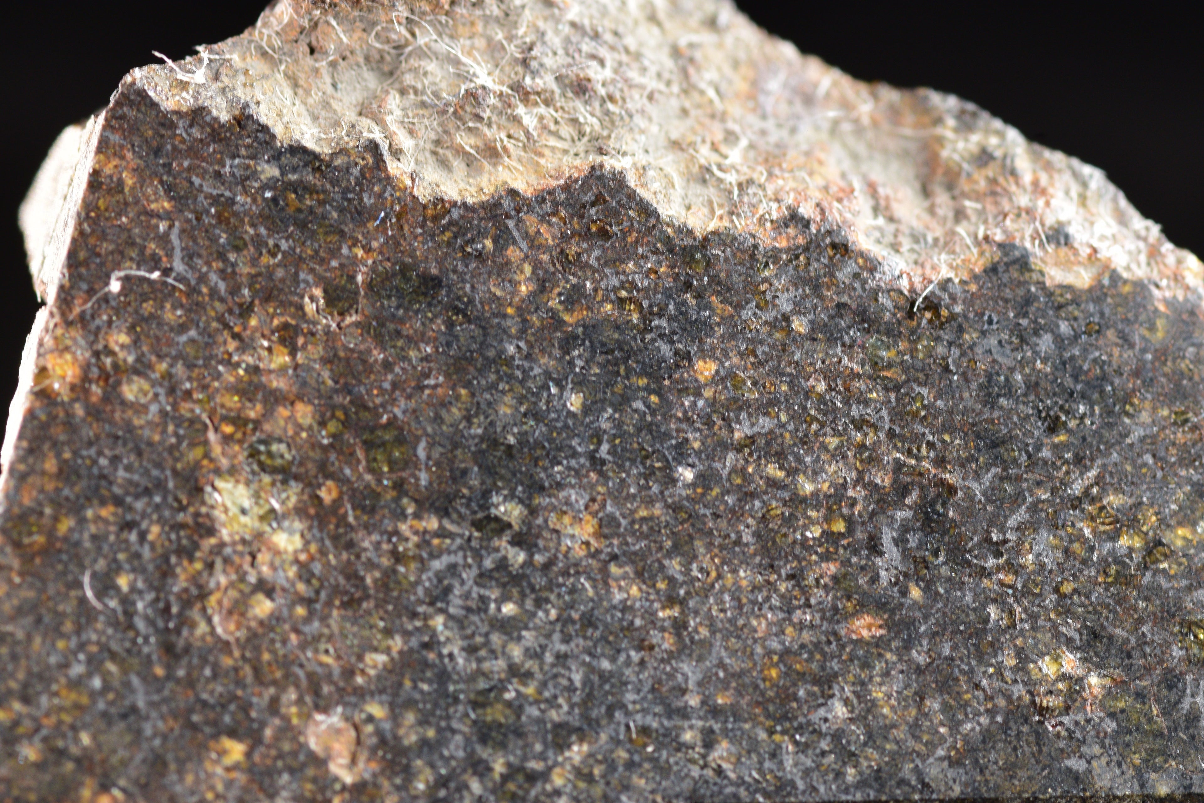 NWA 11757 Ureilite Meteorite For Sale