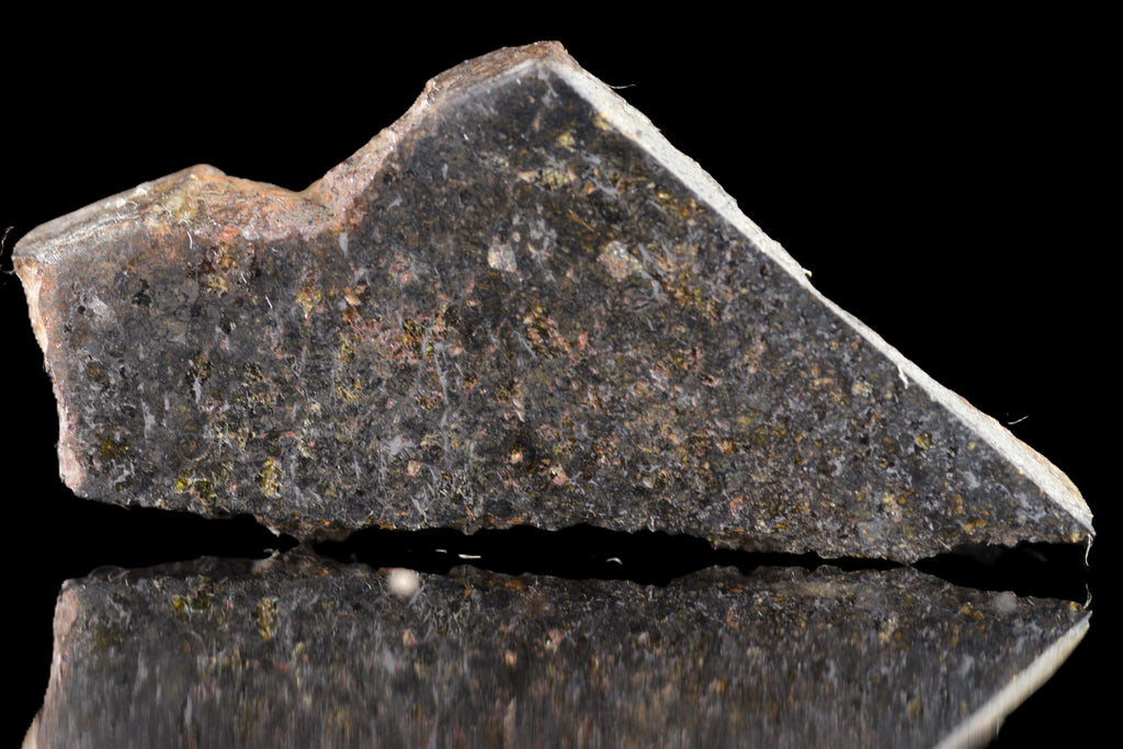 NWA 11757 Ureilite Meteorite For Sale