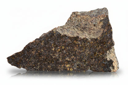Ureilite meteorite NWA 11757, 8.7g, from Buy Meteorite, LLC, showing a dark, rough extraterrestrial stone on a white background.