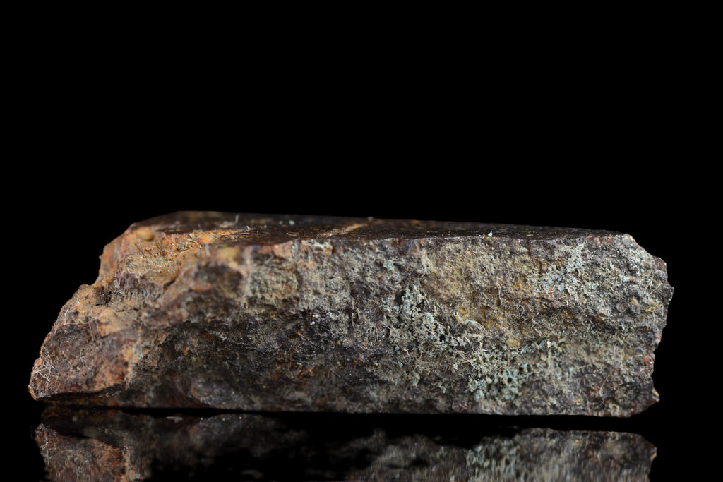 NWA 11757 Ureilite Meteorite For Sale