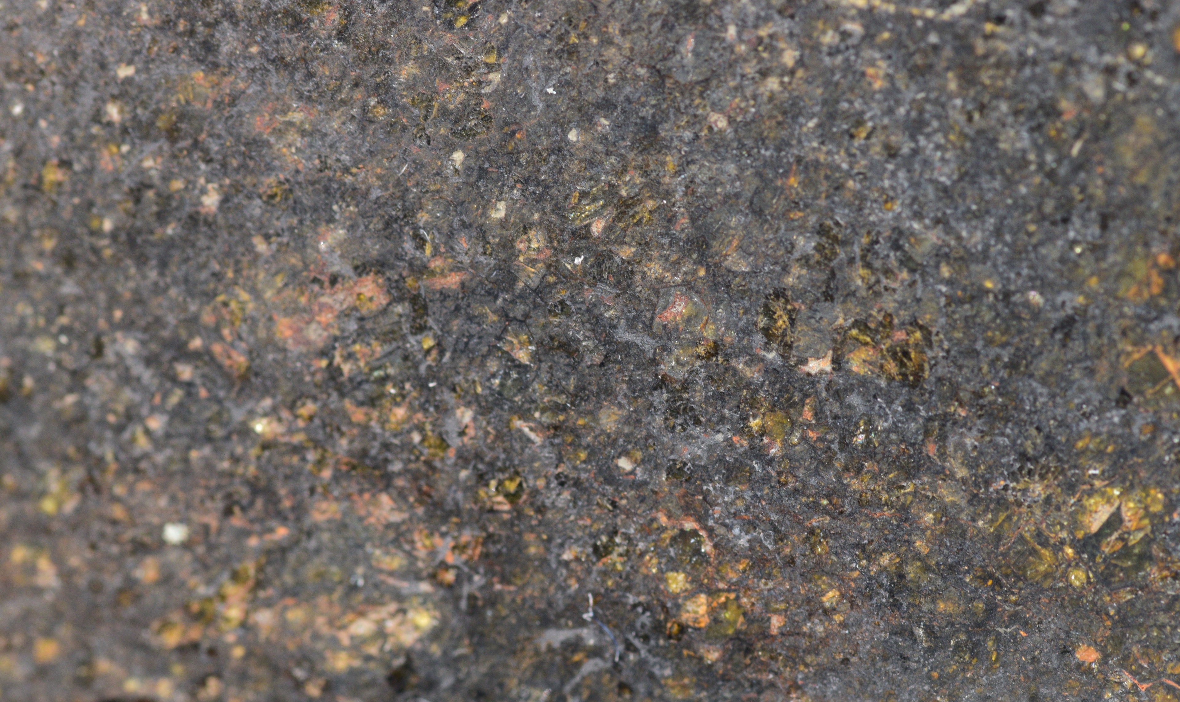 NWA 11757 Ureilite Meteorite For Sale