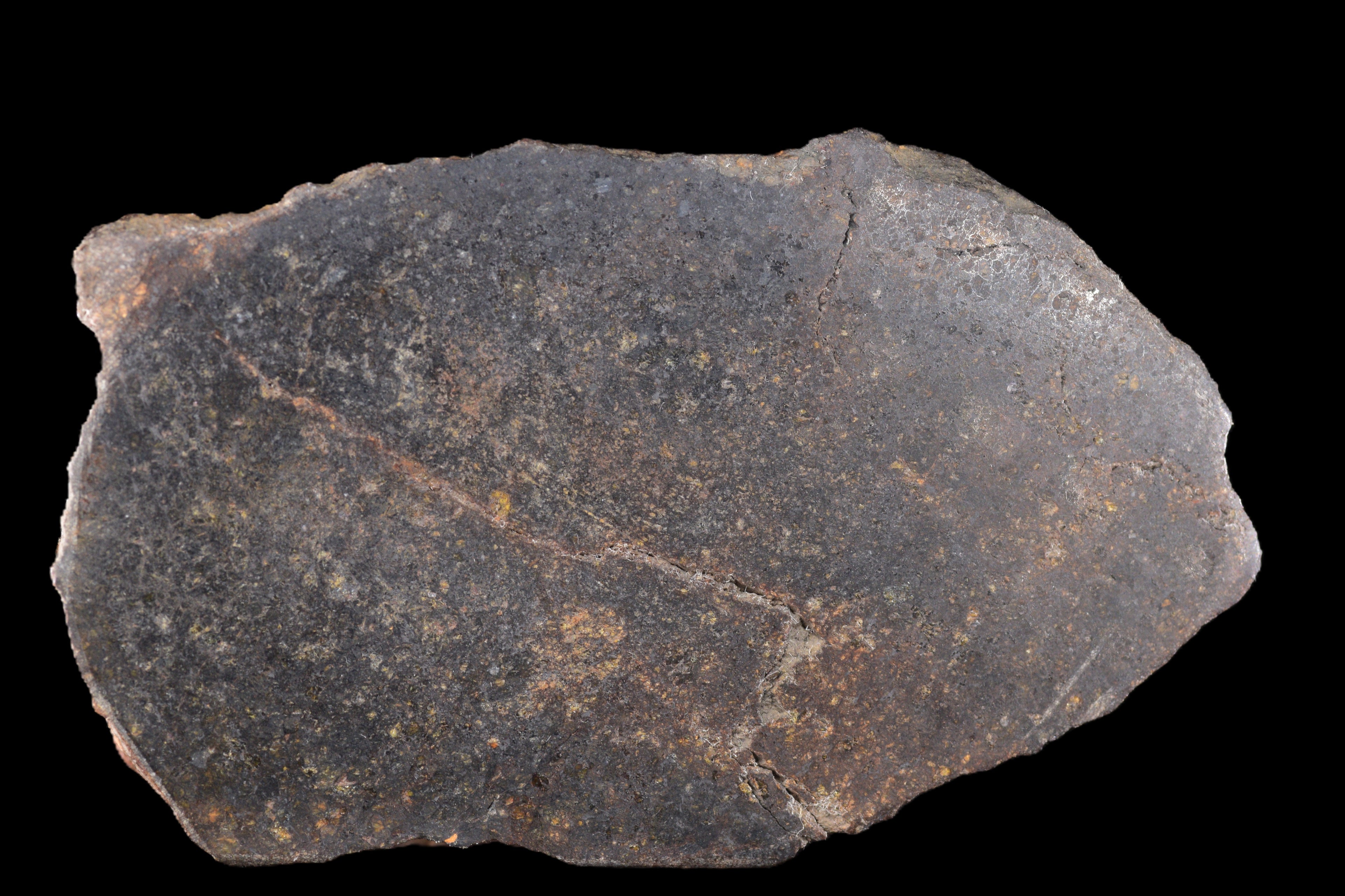 NWA 11757 Ureilite Meteorite Main Mass