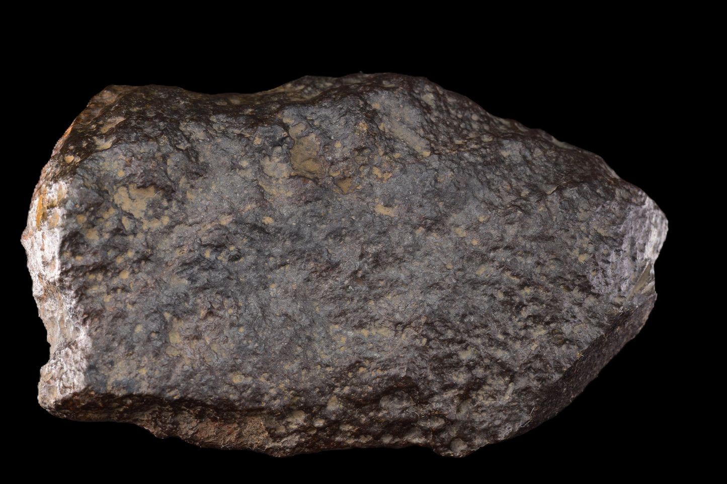 NWA 11757 Ureilite Meteorite Main Mass