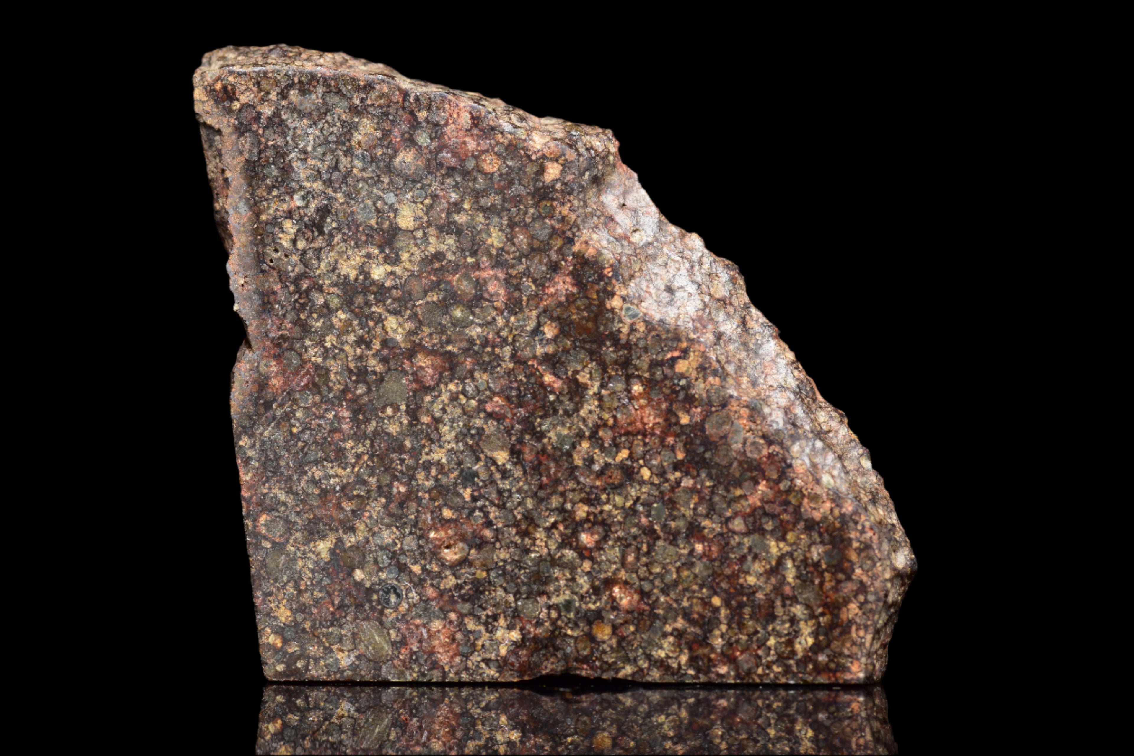 NWA 12341 – L3.5 Ordinary Chondrite Meteorite Slice