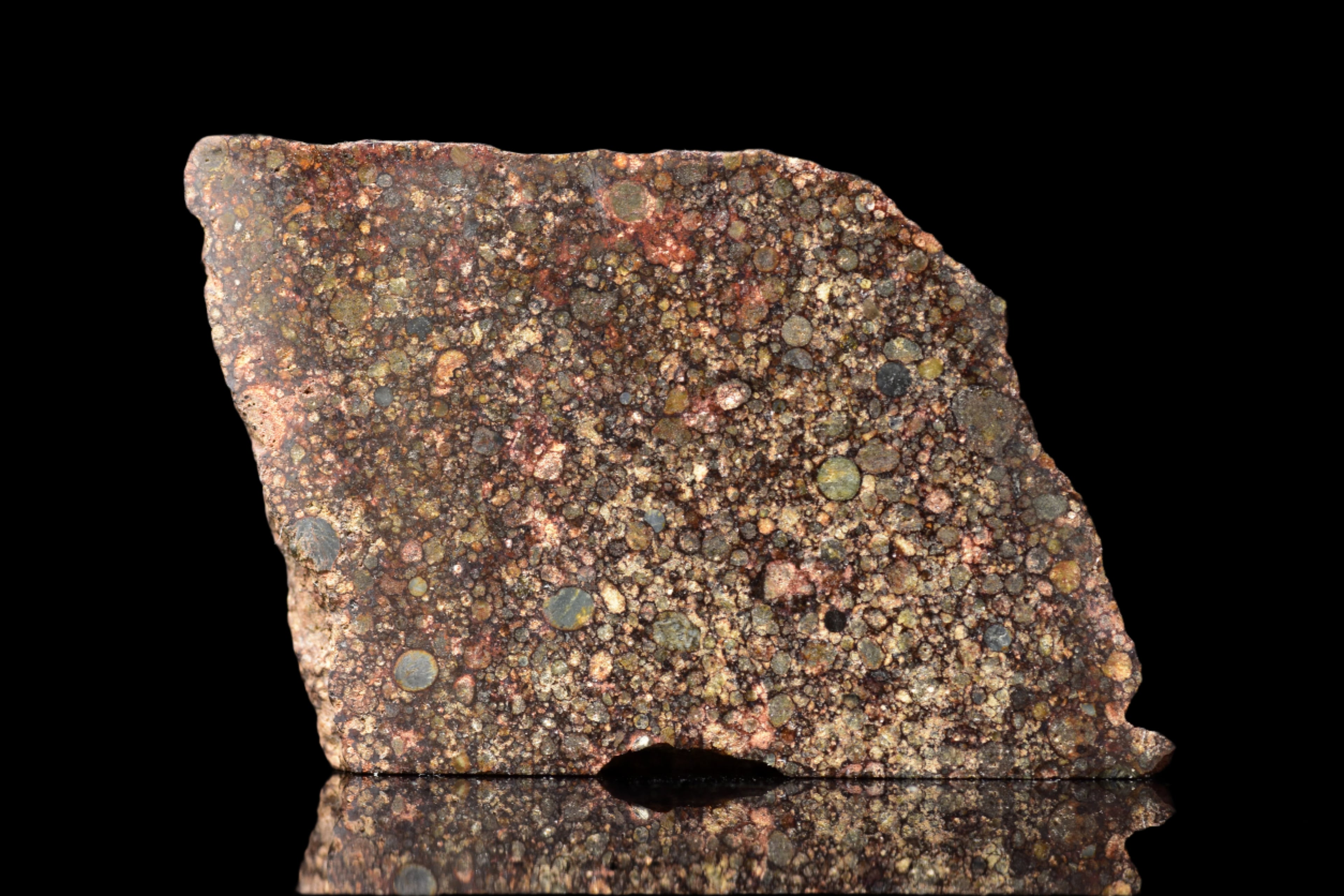 NWA 12341 – L3.5 Ordinary Chondrite Meteorite Slice