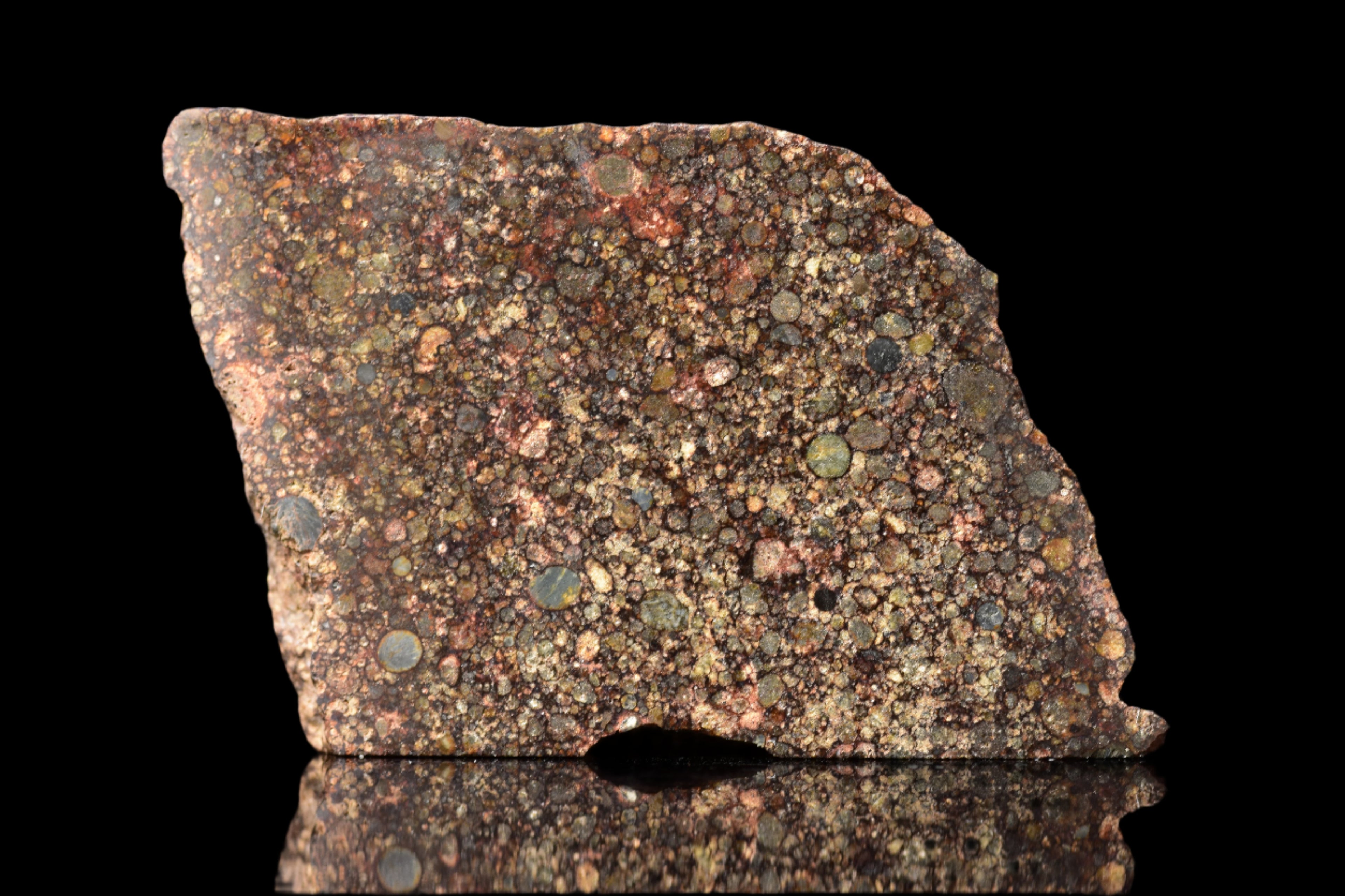 NWA 12341 – L3.5 Ordinary Chondrite Meteorite Slice