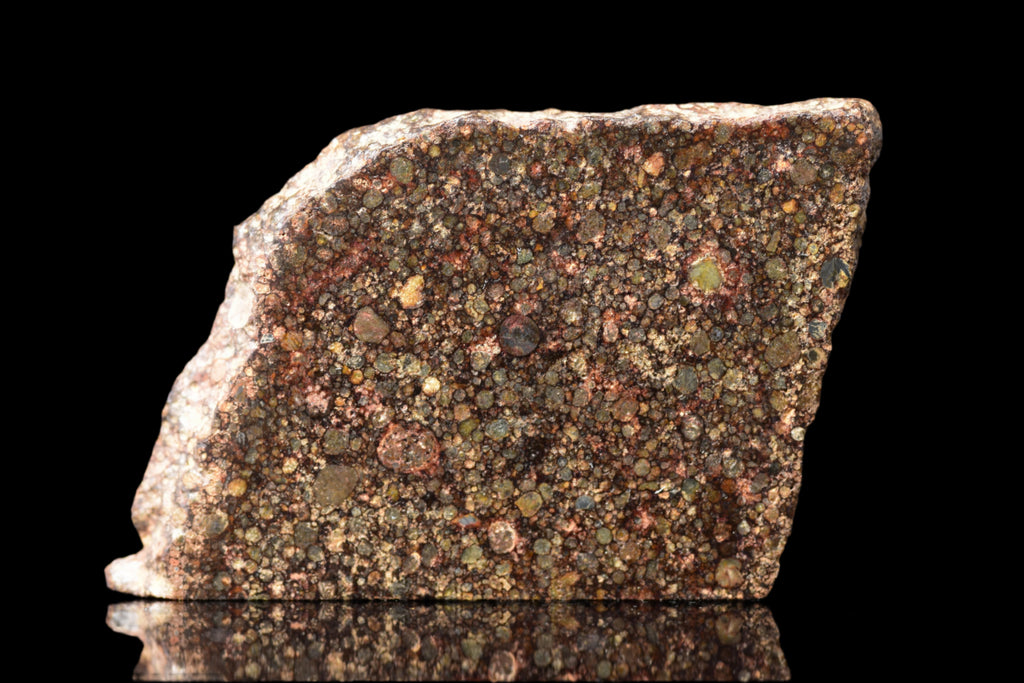 NWA 12341 – L3.5 Ordinary Chondrite Meteorite Slice