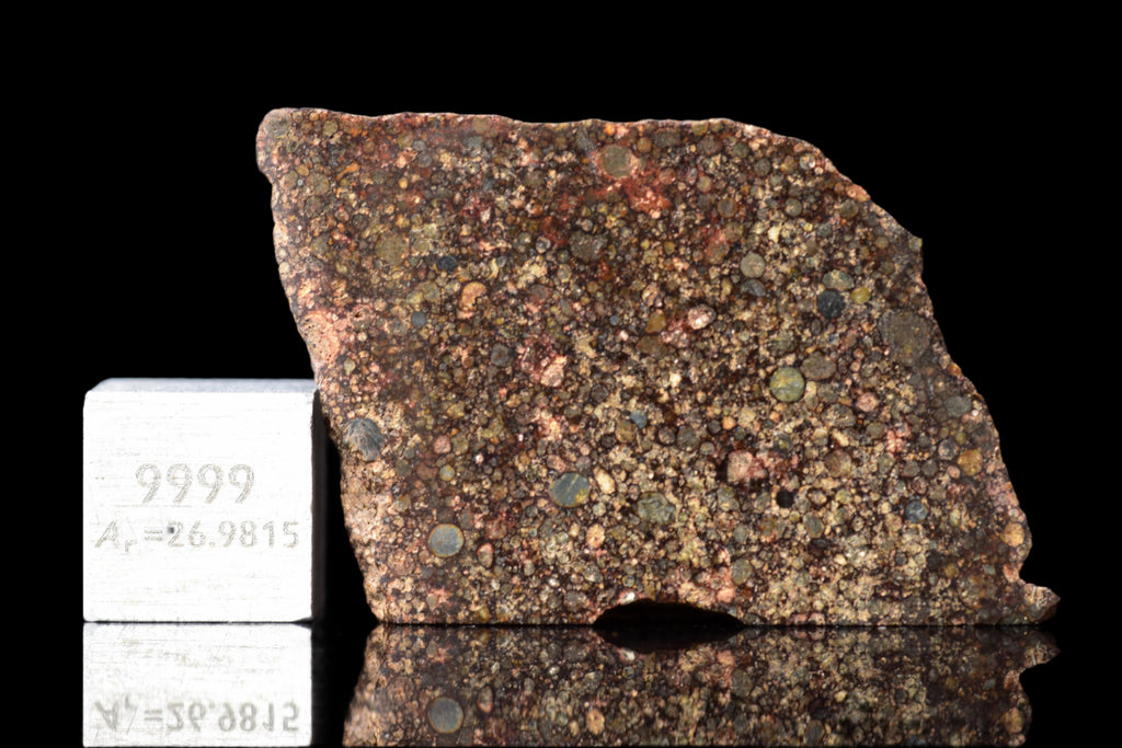 NWA 12341 – L3.5 Ordinary Chondrite Meteorite Slice