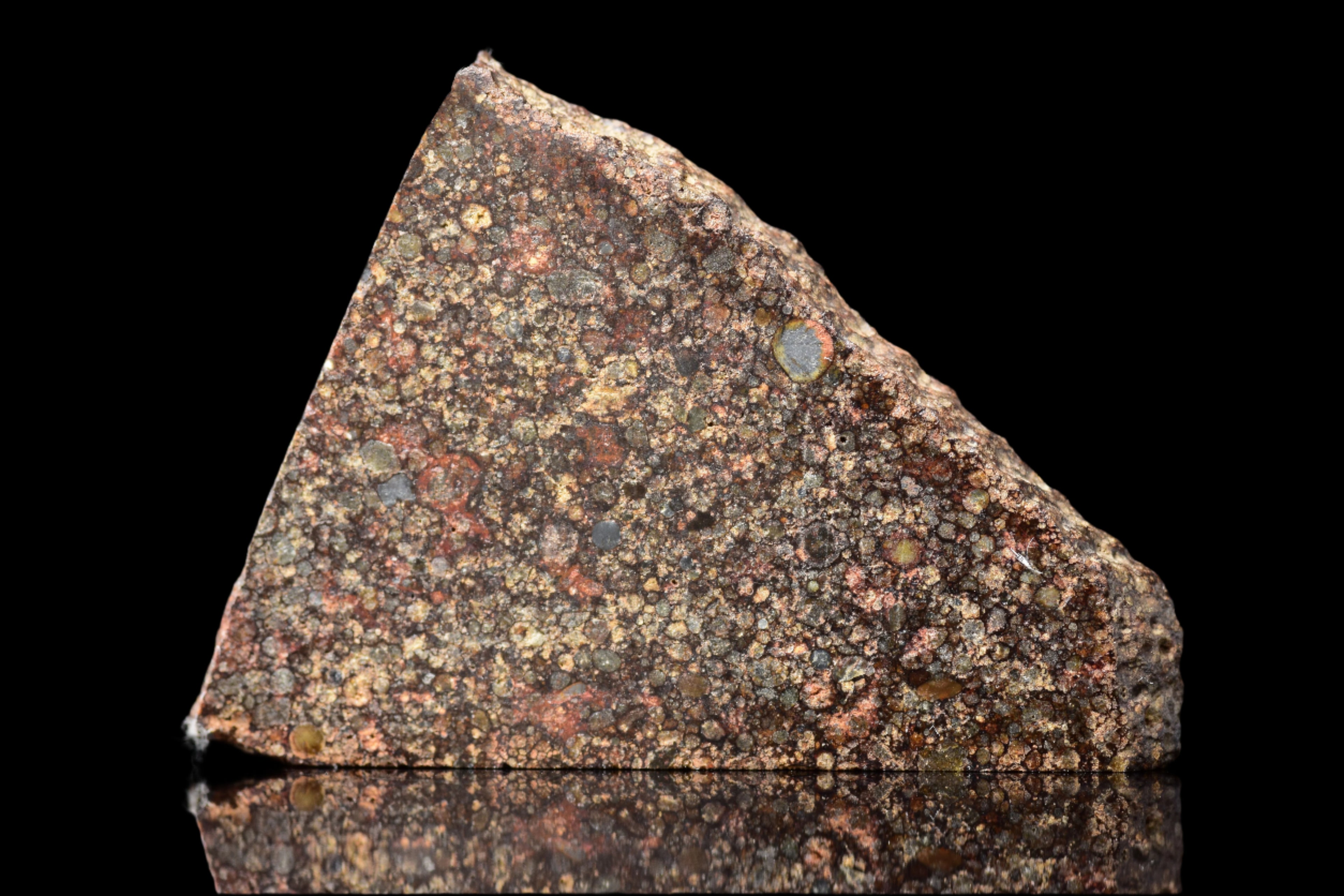 NWA 12341 – L3.5 Ordinary Chondrite Meteorite Slice