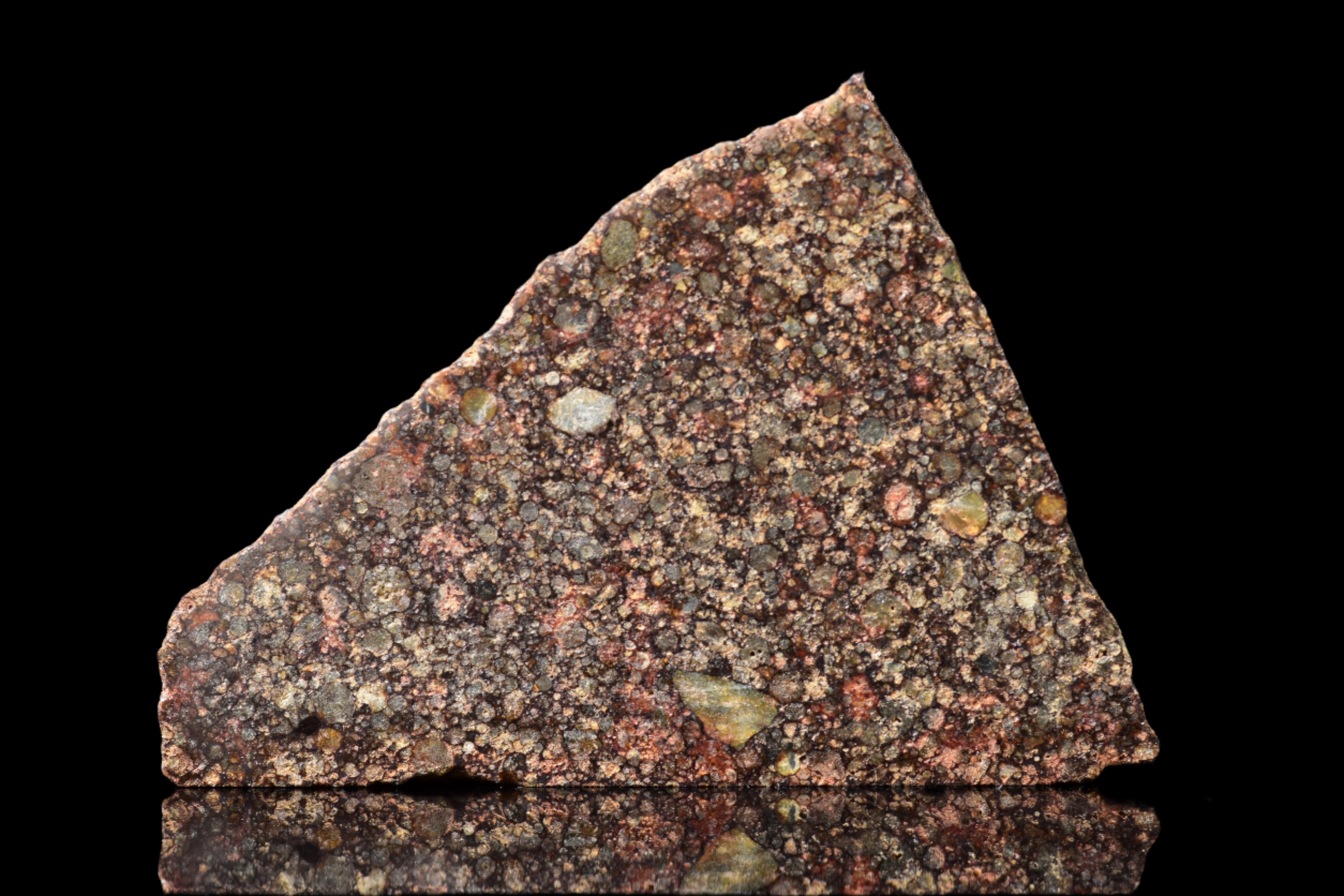 NWA 12341 – L3.5 Ordinary Chondrite Meteorite Slice