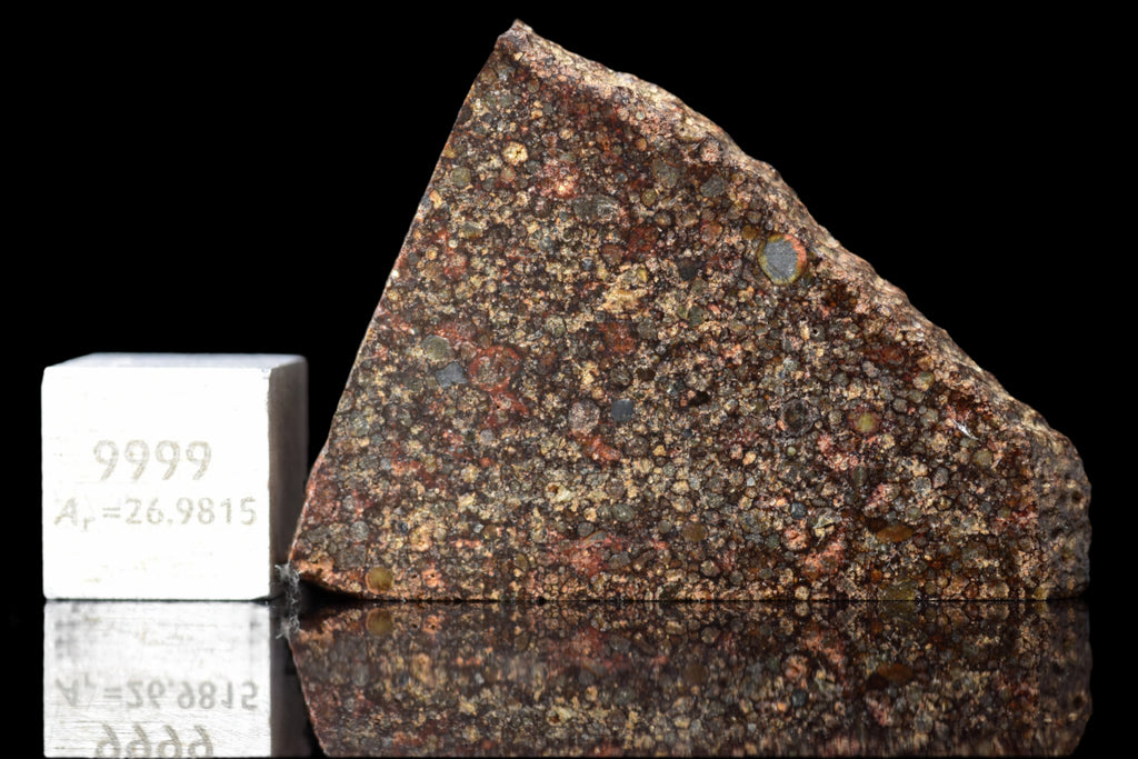 NWA 12341 – L3.5 Ordinary Chondrite Meteorite Slice