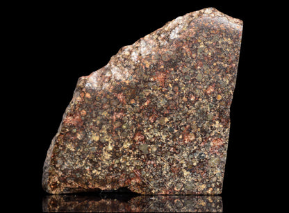 Close-up of NWA 12341 L3 meteorite fragment showing dark, textured chondrite surface with metallic inclusions.