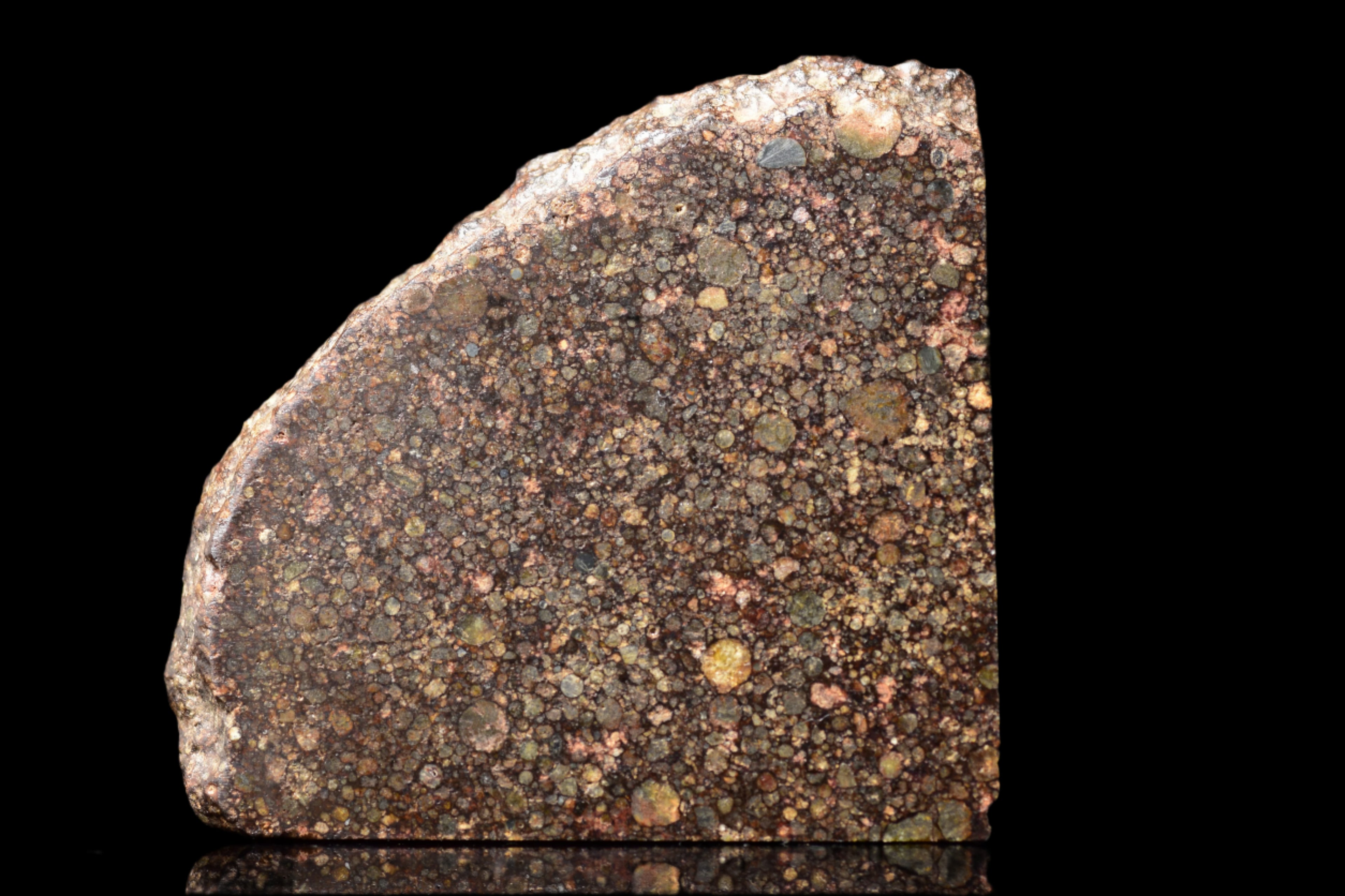 NWA 12341 – L3.5 Ordinary Chondrite Meteorite Slice