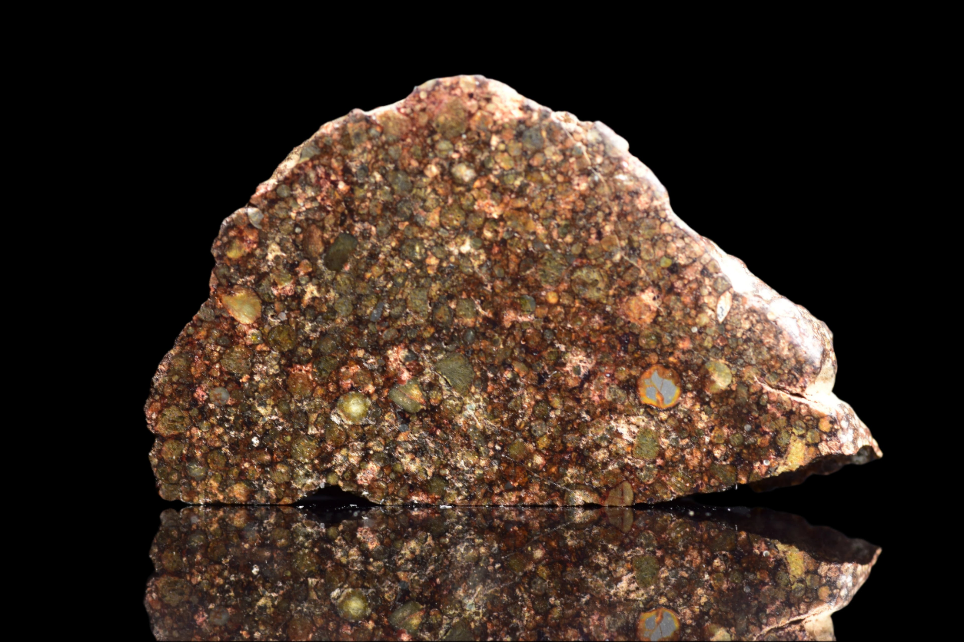 NWA 12341 – L3.5 Ordinary Chondrite Meteorite Slice