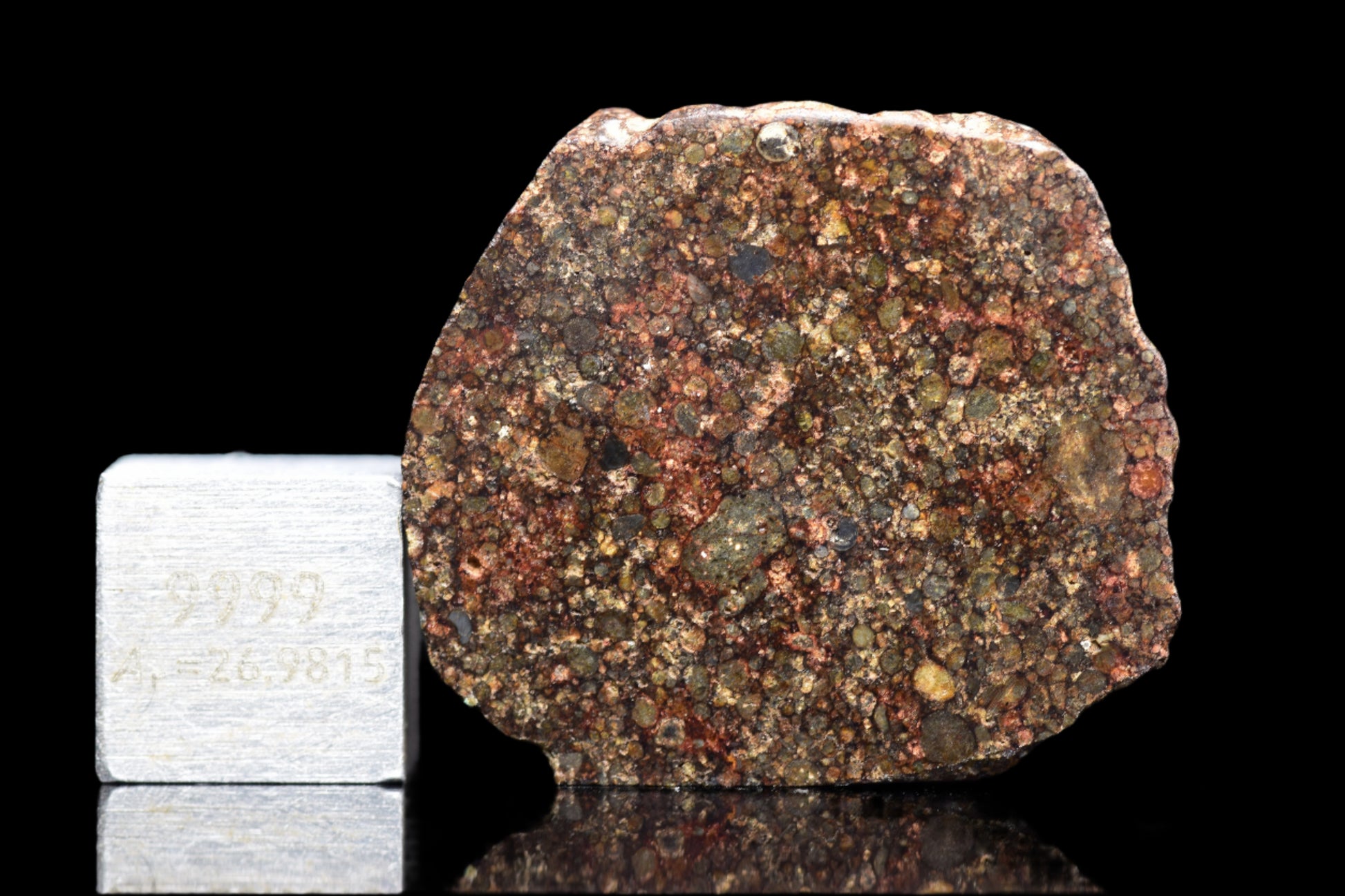 Close-up of NWA 12341 L3 meteorite fragment showing dark, textured surface with chondrite features and mineral inclusions.
