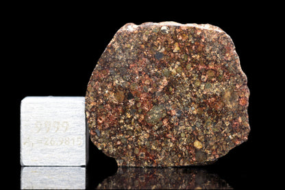Close-up of NWA 12341 L3 meteorite fragment showing dark, textured surface with chondrite features and mineral inclusions.