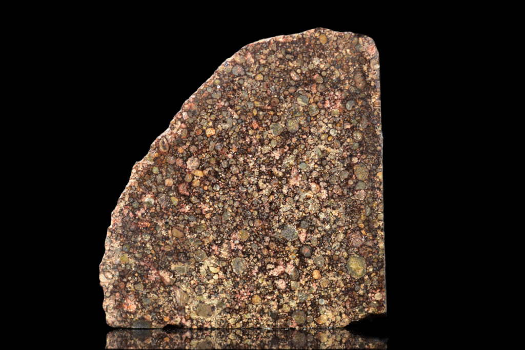 NWA 12341 – L3.5 Ordinary Chondrite Meteorite Slice