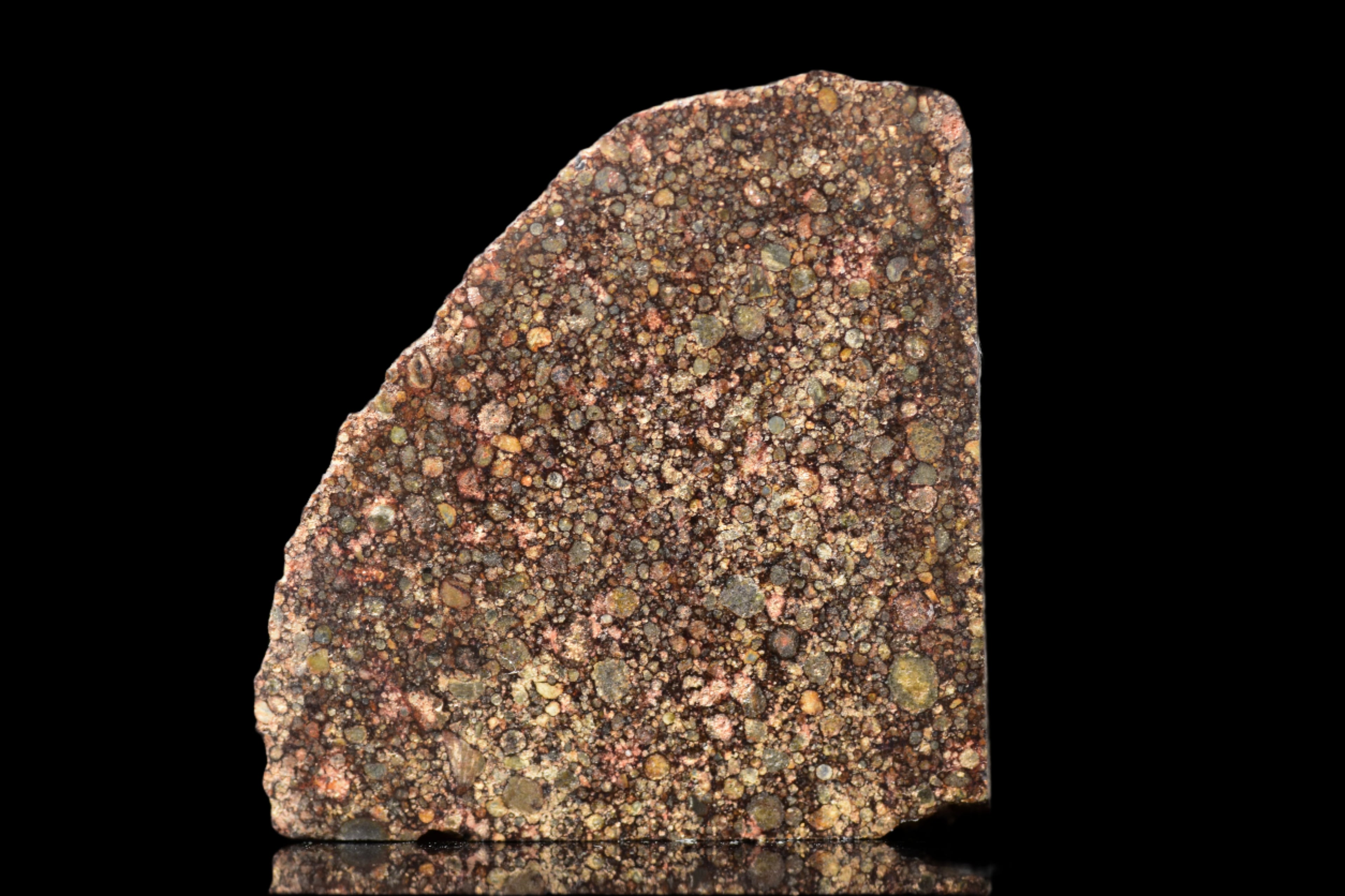NWA 12341 – L3.5 Ordinary Chondrite Meteorite Slice
