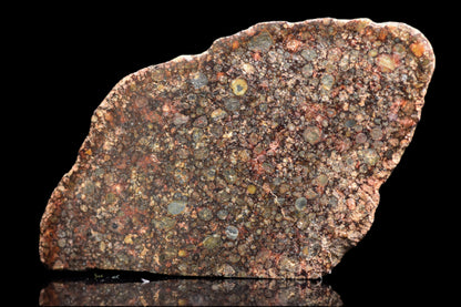 NWA 12341 L3 meteorite specimen weighing 3.7 grams, featuring a dark chondrite surface with visible mineral inclusions.