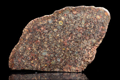 Close-up of NWA 12341 L3 meteorite, a 3.7g chondrite sample with rugged, dark surface and mineral inclusions.