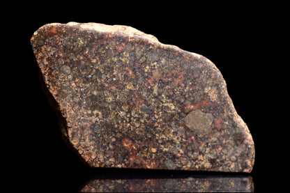 NWA 12341 L3 meteorite sample weighing 3.7 grams, showcasing its dark, rocky surface with chondrite textures.