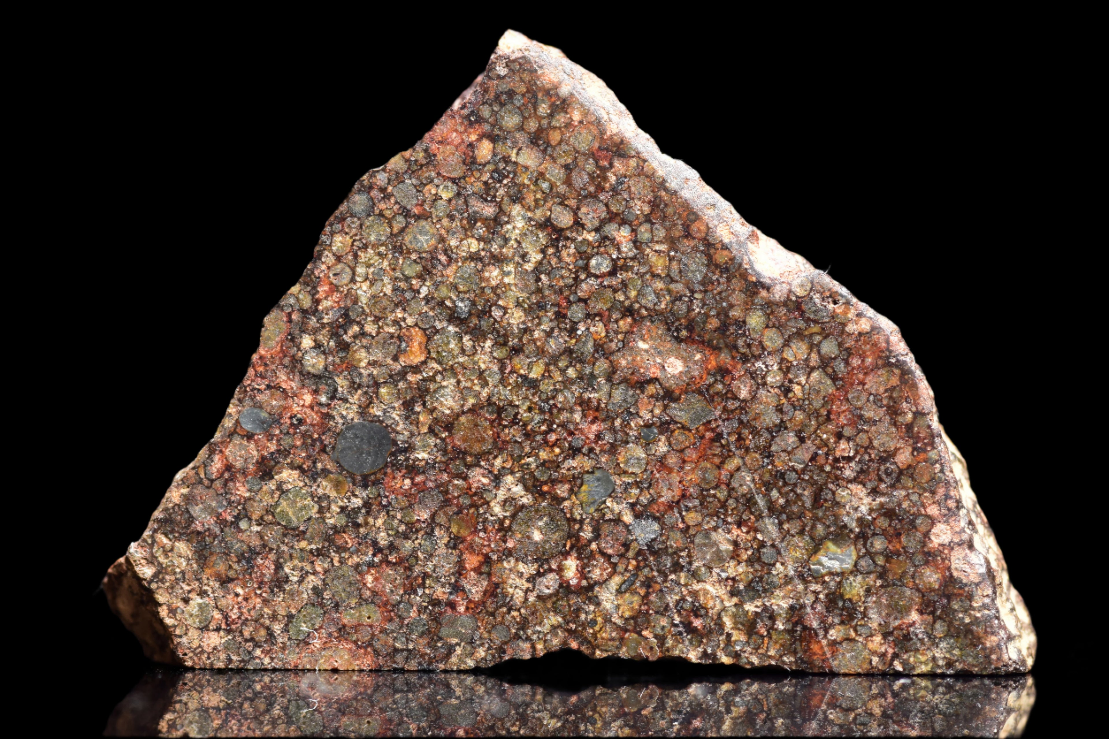 NWA 12341 – L3.5 Ordinary Chondrite Meteorite Slic