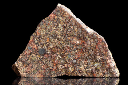 NWA 12341 L3 meteorite fragment weighing 2.9 grams, showing dark fusion crust and mineral inclusions, from Buy Meteorite, LLC.