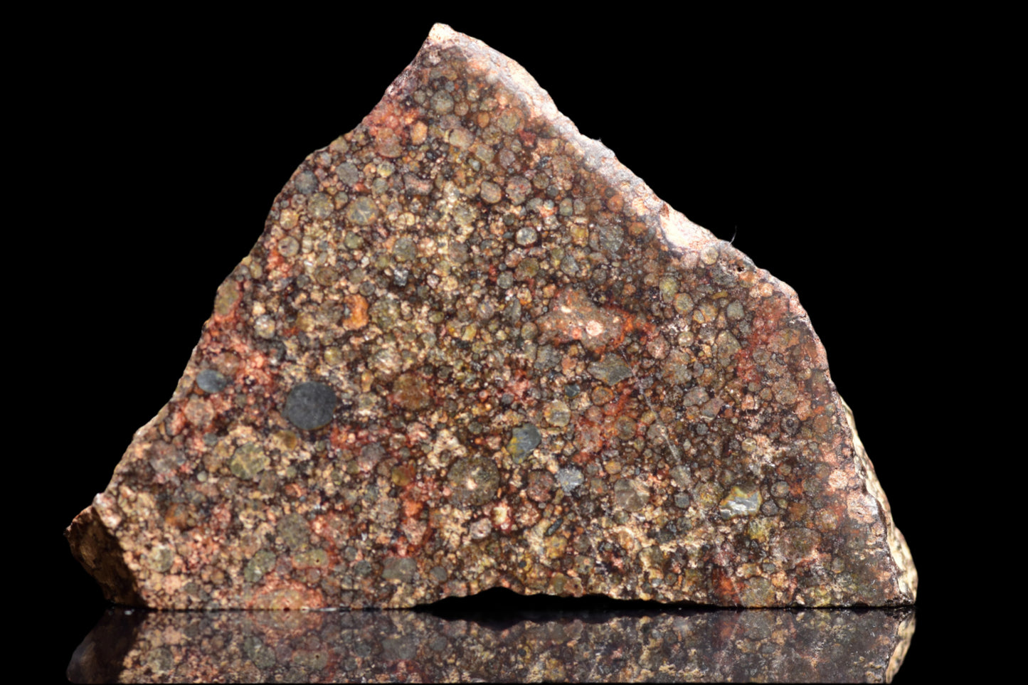NWA 12341 L3 meteorite specimen weighing 2.9 grams, displayed with its chondrite structure and dark, textured surface.