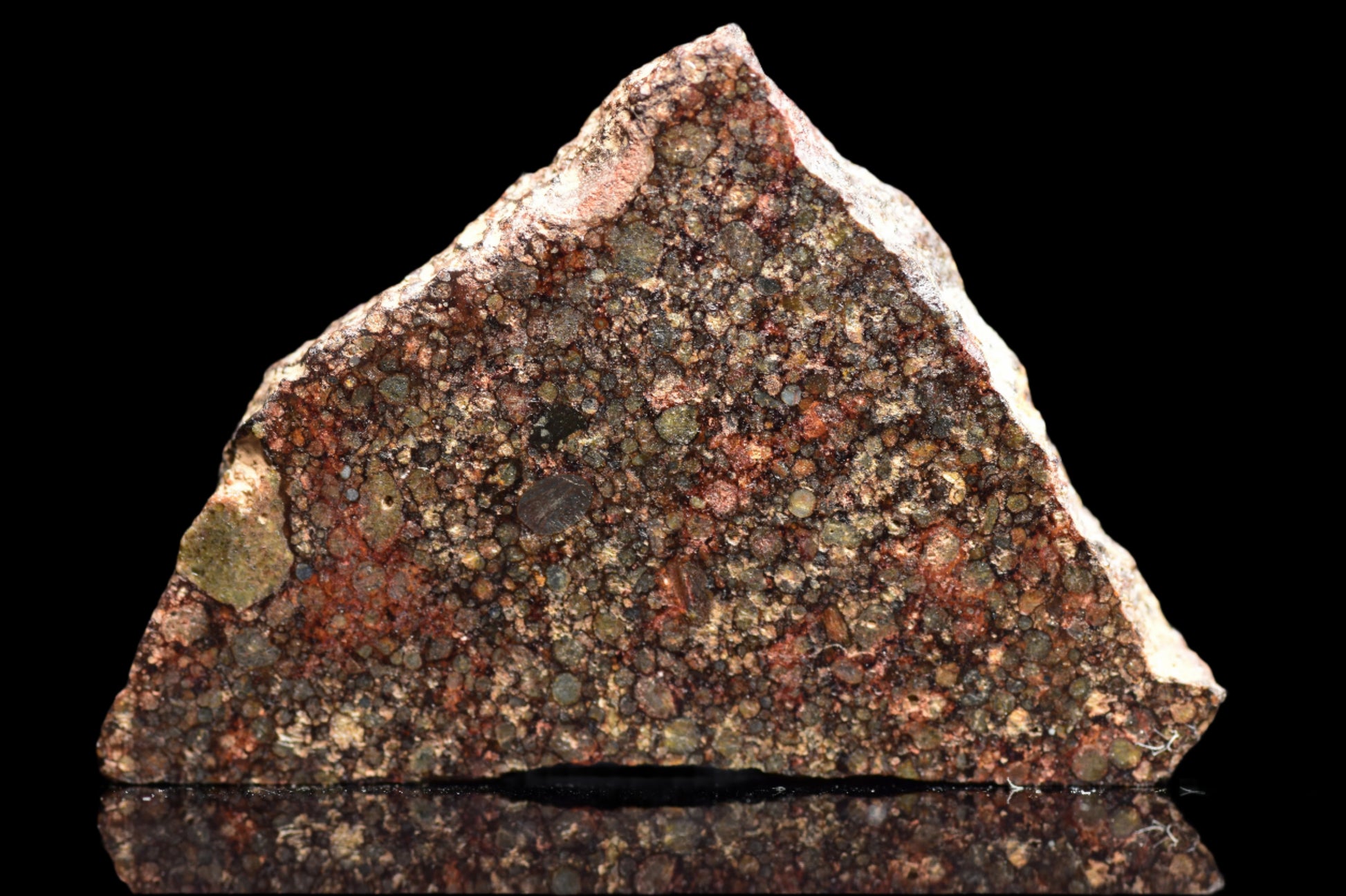 NWA 12341 L3 meteorite with a 2.9g chondrite fragment, showing its dark, rocky surface and mineral details.